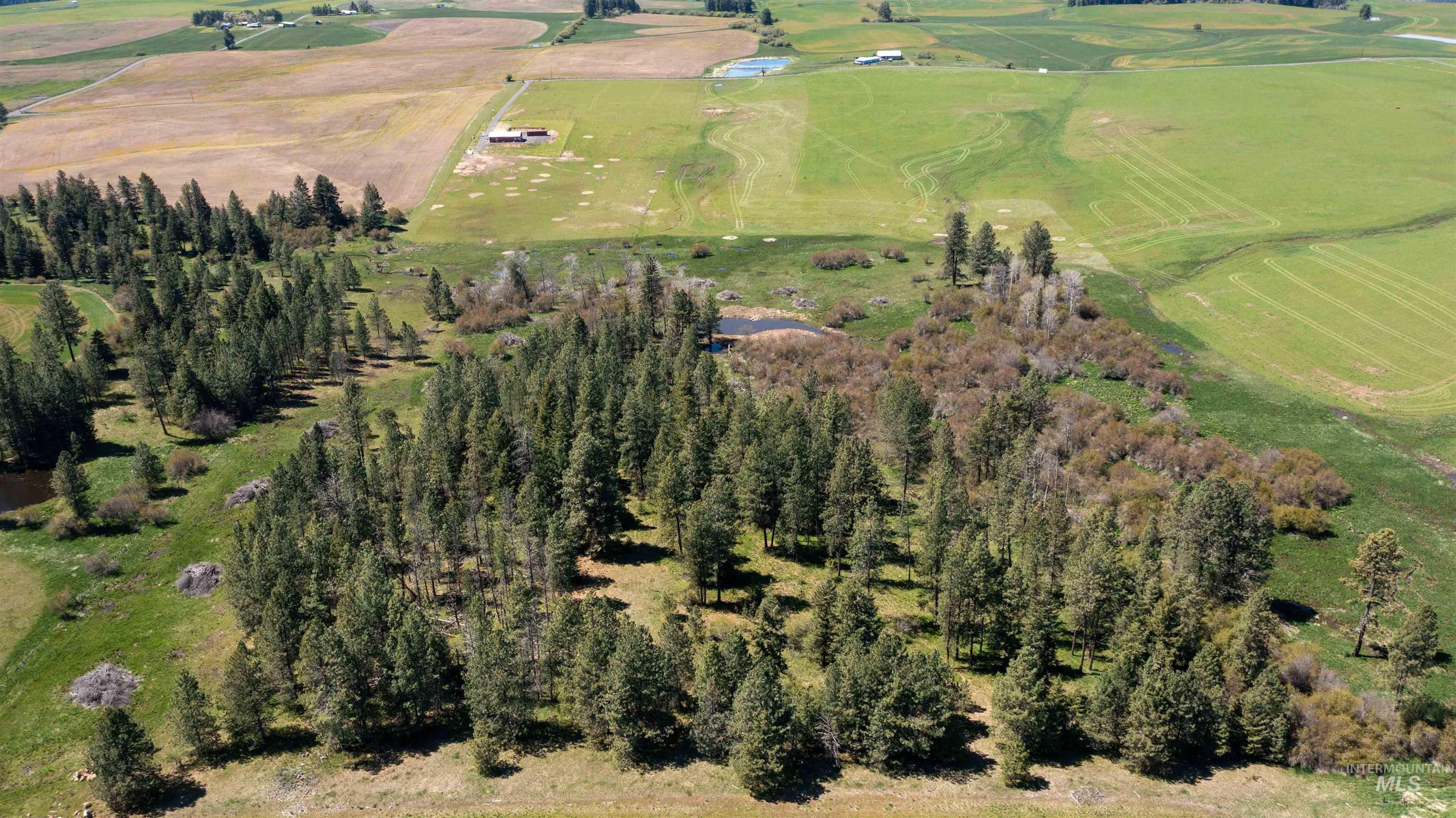1254 Stuart Rd, Orofino, Idaho 83544, 1 Bedroom, 1 Bathroom, Residential For Sale, Price $799,900,MLS 98984720