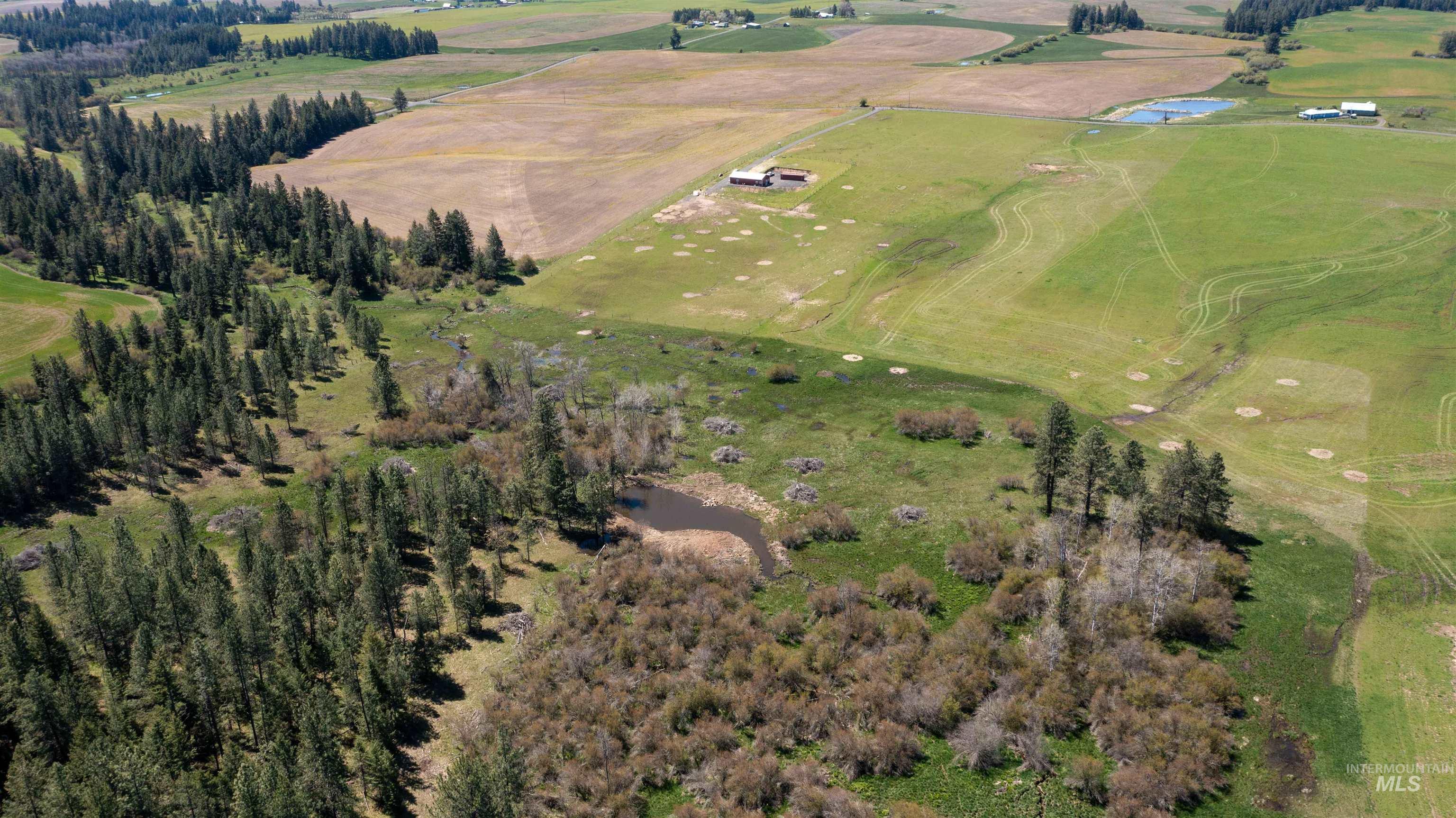 1254 Stuart Rd, Orofino, Idaho 83544, 1 Bedroom, 1 Bathroom, Residential For Sale, Price $799,900,MLS 98984720