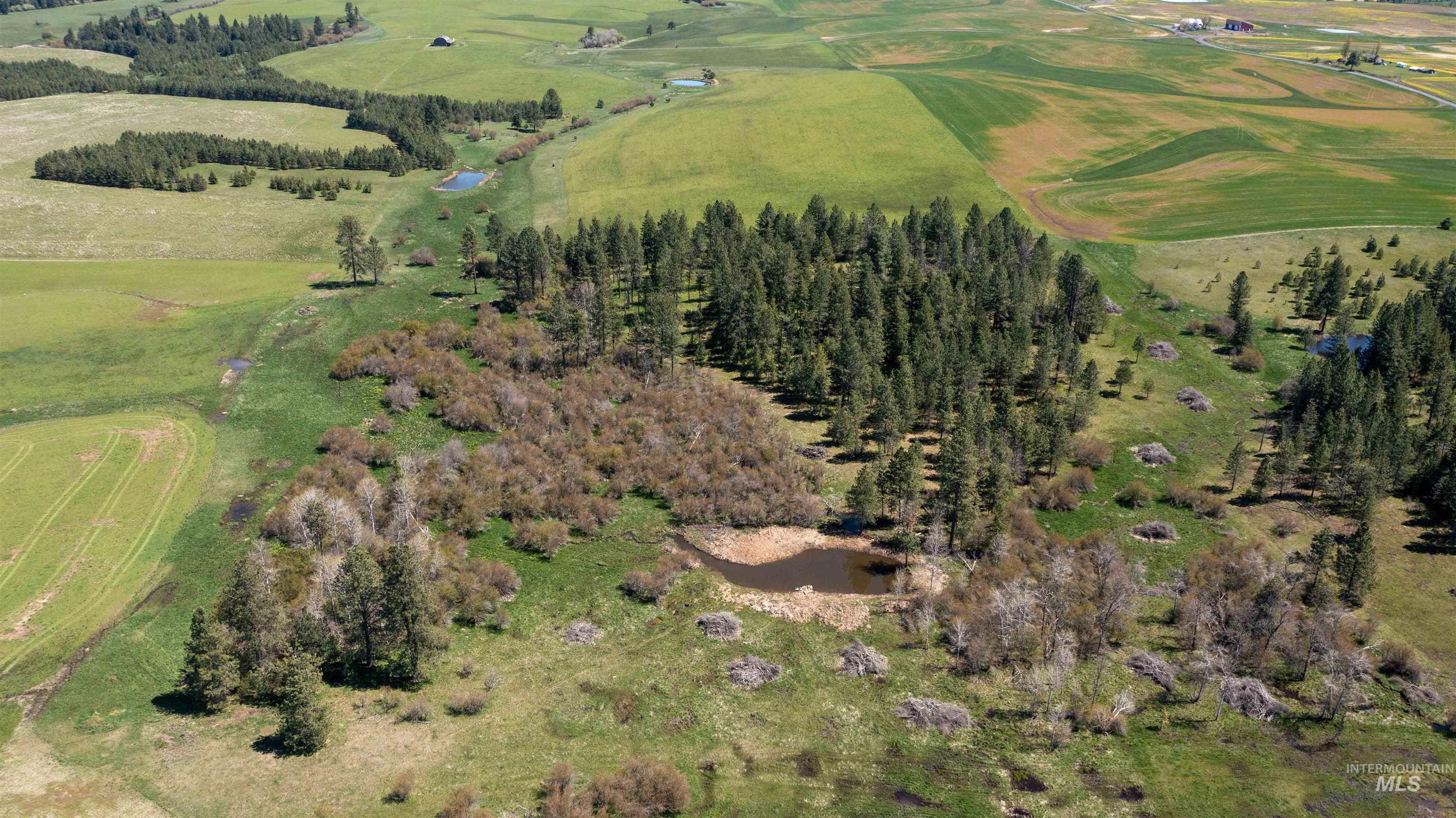 1254 Stuart Rd, Orofino, Idaho 83544, 1 Bedroom, 1 Bathroom, Residential For Sale, Price $799,900,MLS 98984720