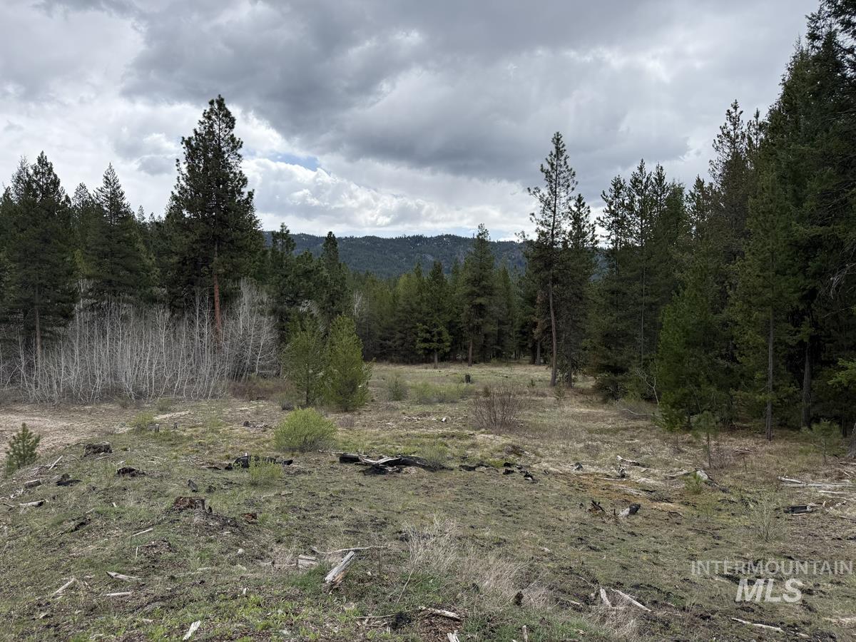 TBD Horsethief Road, Cascade, Idaho 83611, Land For Sale, Price $950,000,MLS 98984774