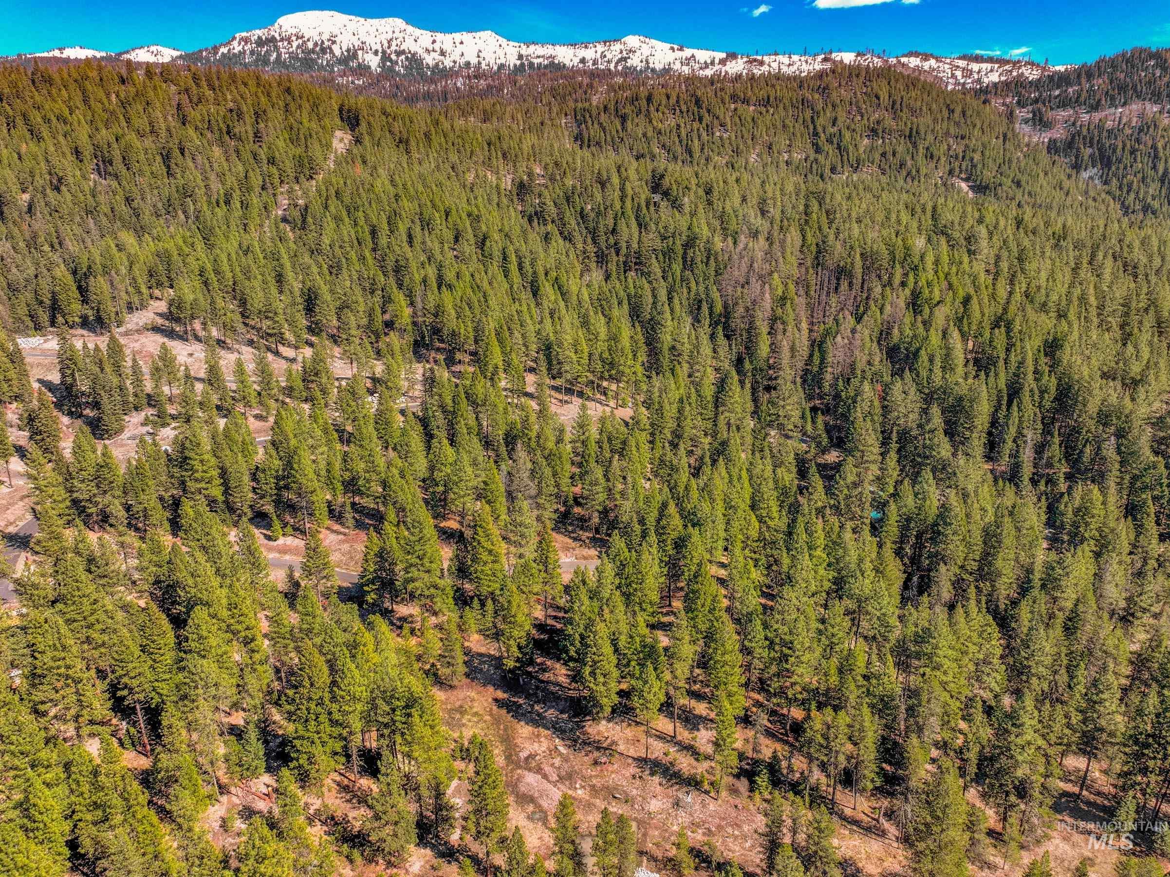 9 Collins Court, McCall, Idaho 83638, Land For Sale, Price $318,750, 98984785