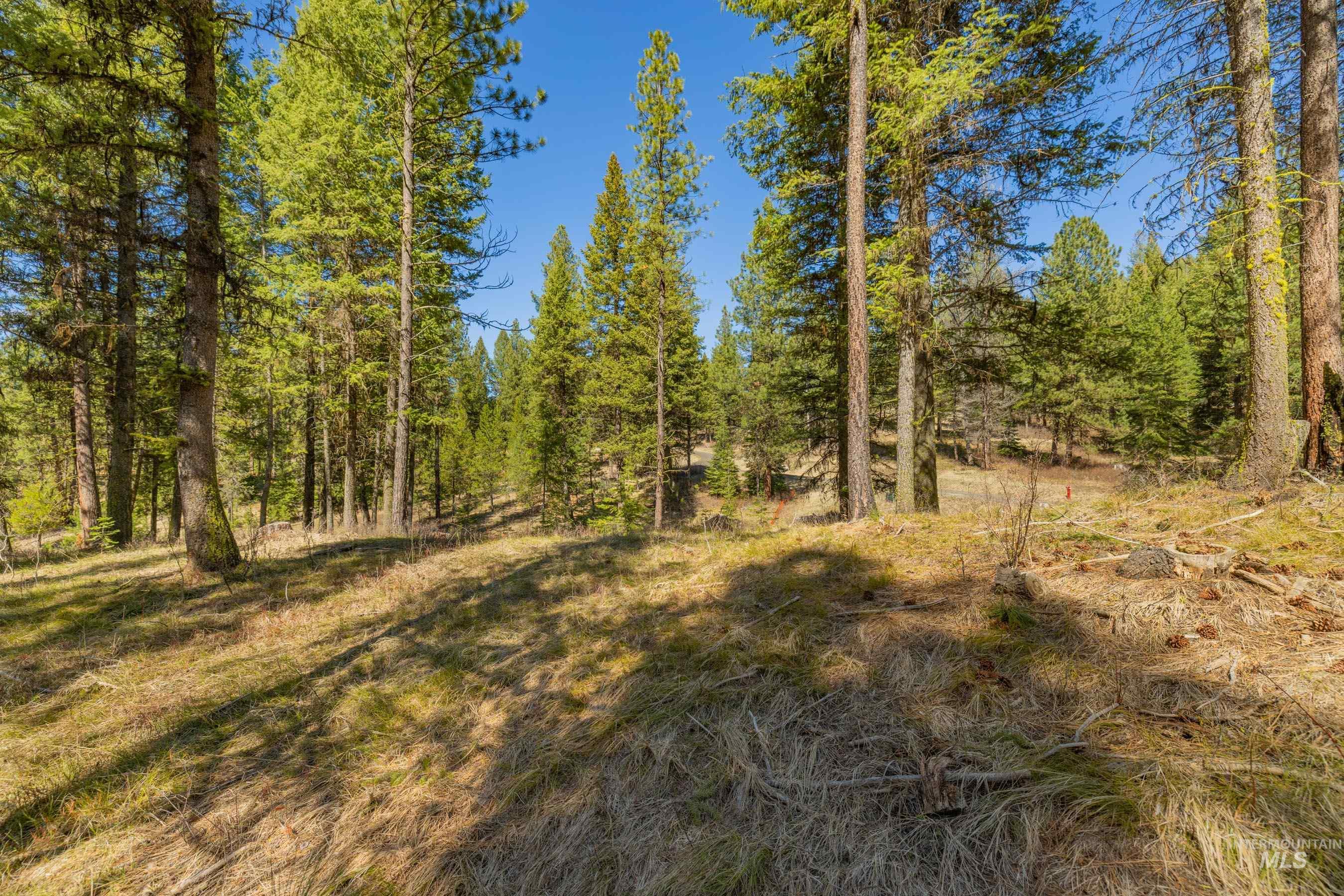 9 Collins Court, McCall, Idaho 83638, Land For Sale, Price $318,750, 98984785