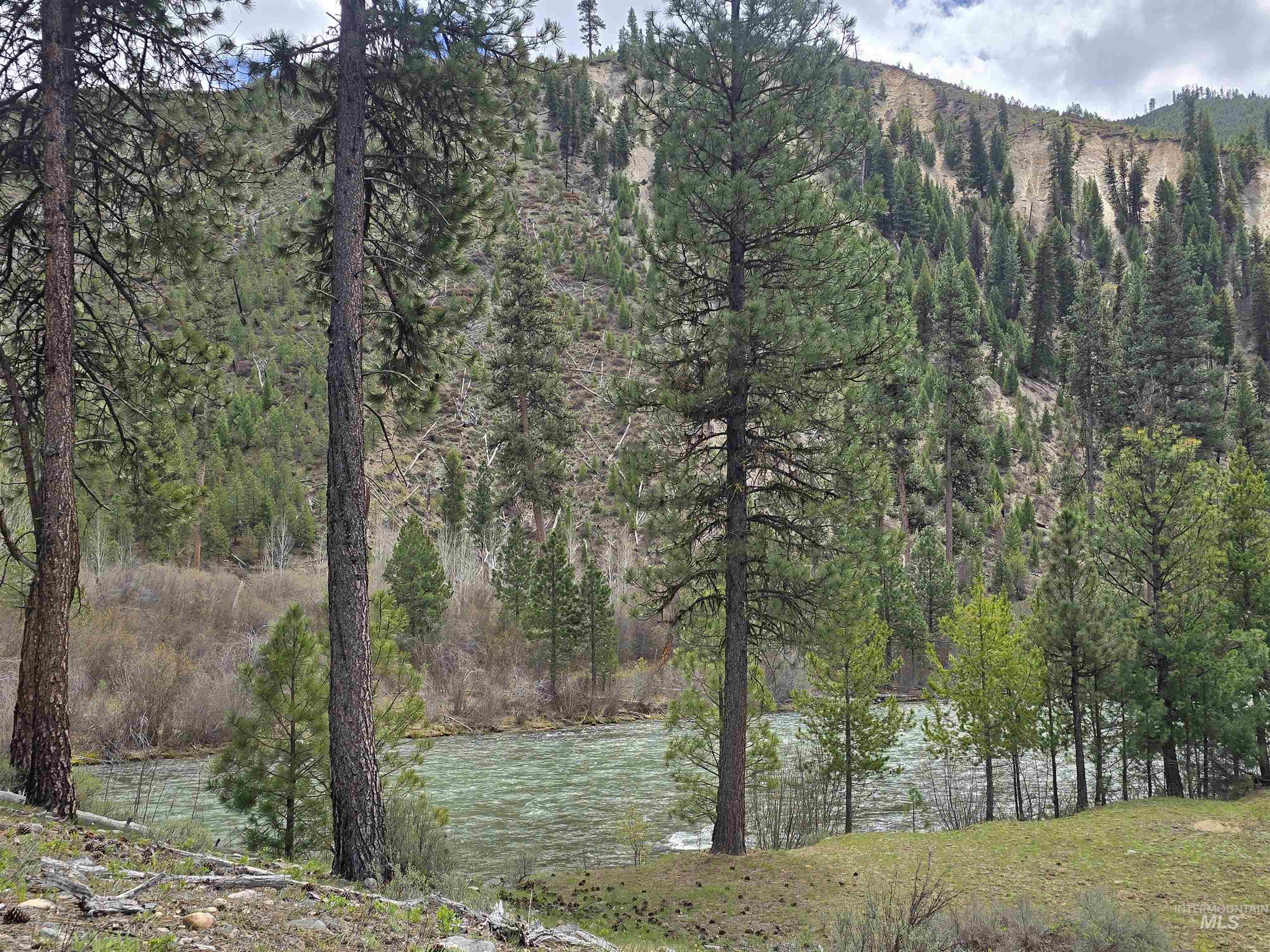 4 Jolene Dr, Lowman, Idaho 83637, 2 Bedrooms, 1 Bathroom, Residential For Sale, Price $245,000, 98984789