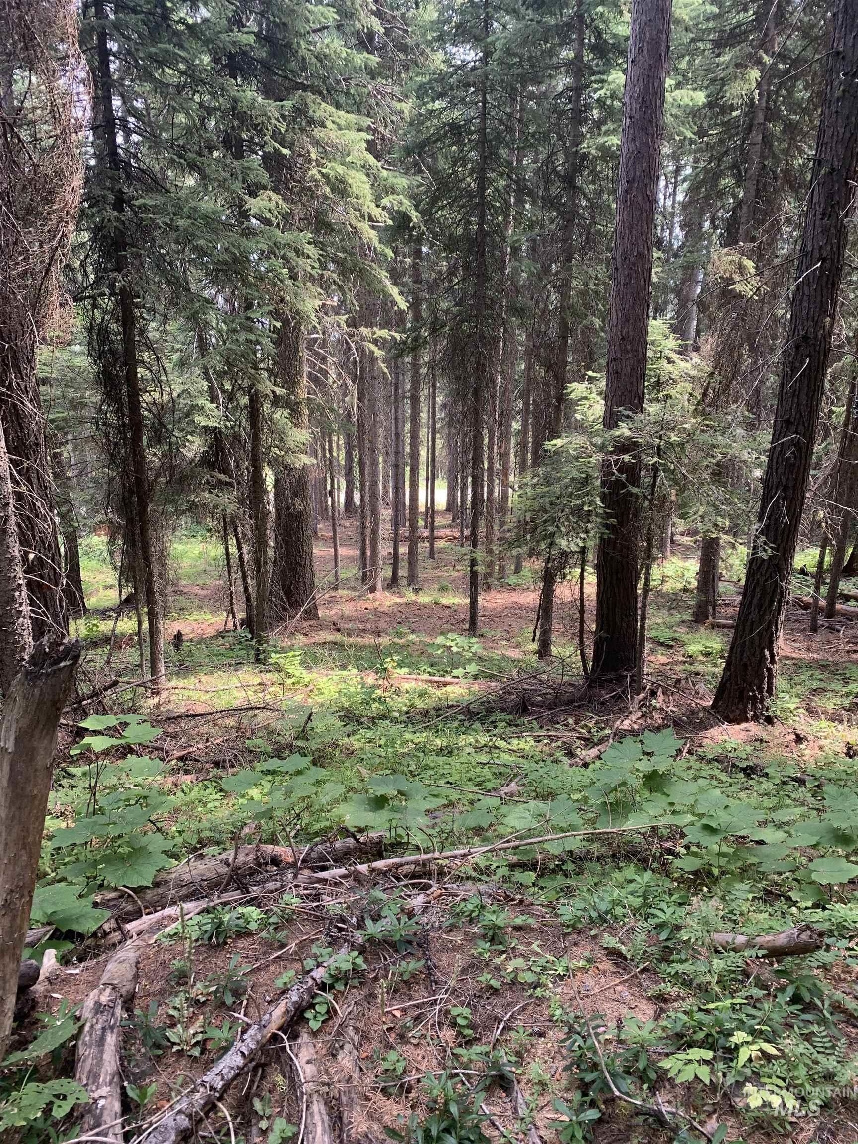 2267 Franks Road, Donnelly, Idaho 83615, Land For Sale, Price $400,000, 98984790