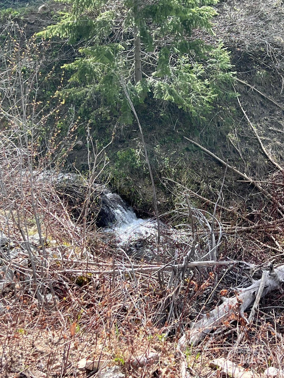 Quartz Creek Rd., Atlanta, Idaho 83647, Land For Sale, Price $160,000, 98984791