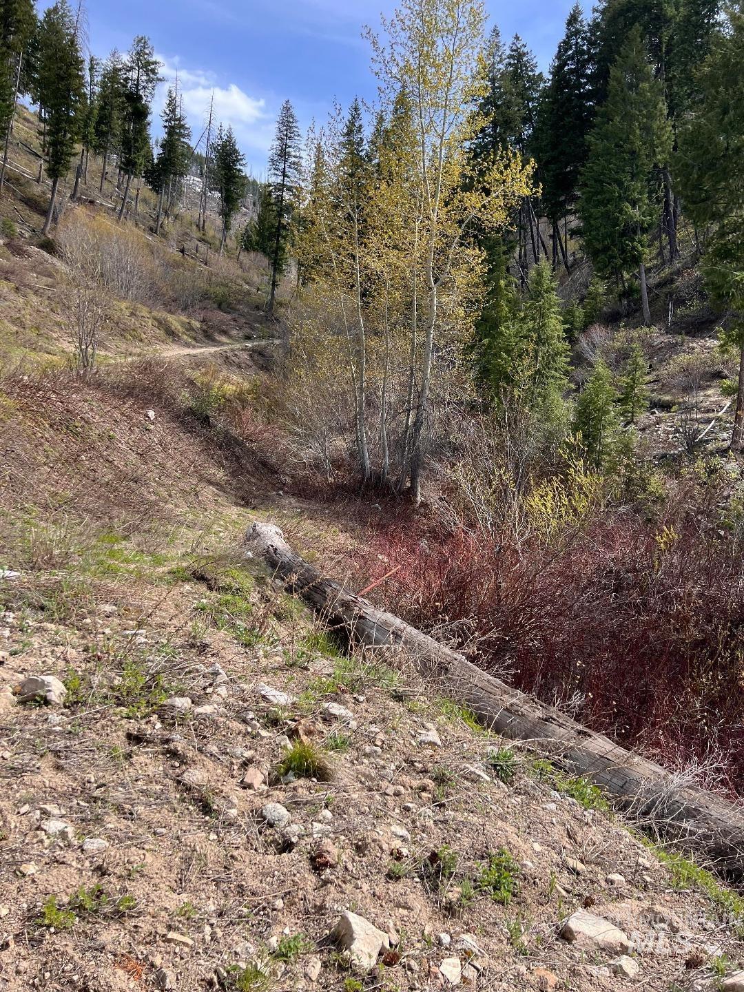 Quartz Creek Rd., Atlanta, Idaho 83647, Land For Sale, Price $160,000, 98984791