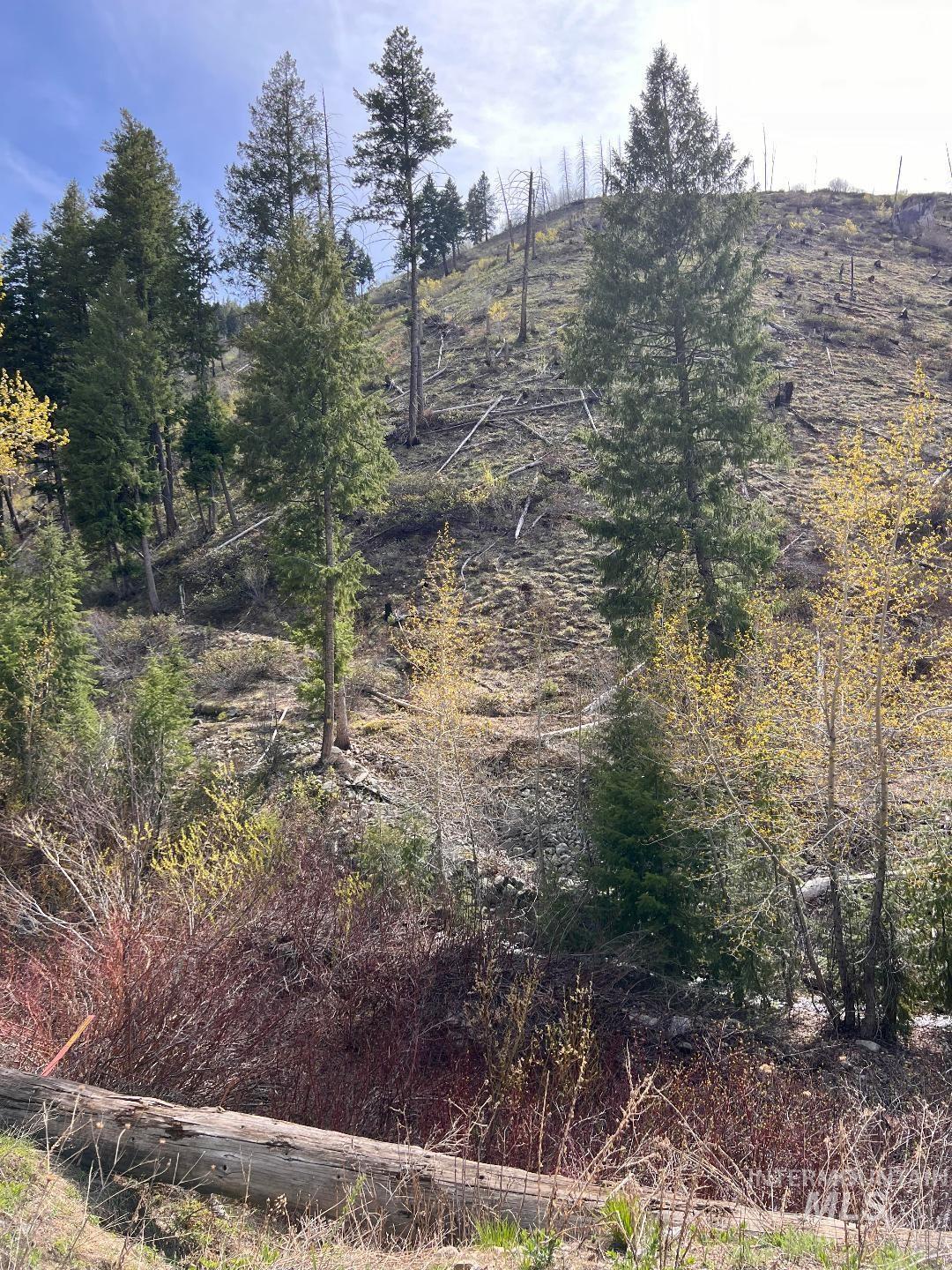 Quartz Creek Rd., Atlanta, Idaho 83647, Land For Sale, Price $160,000, 98984791