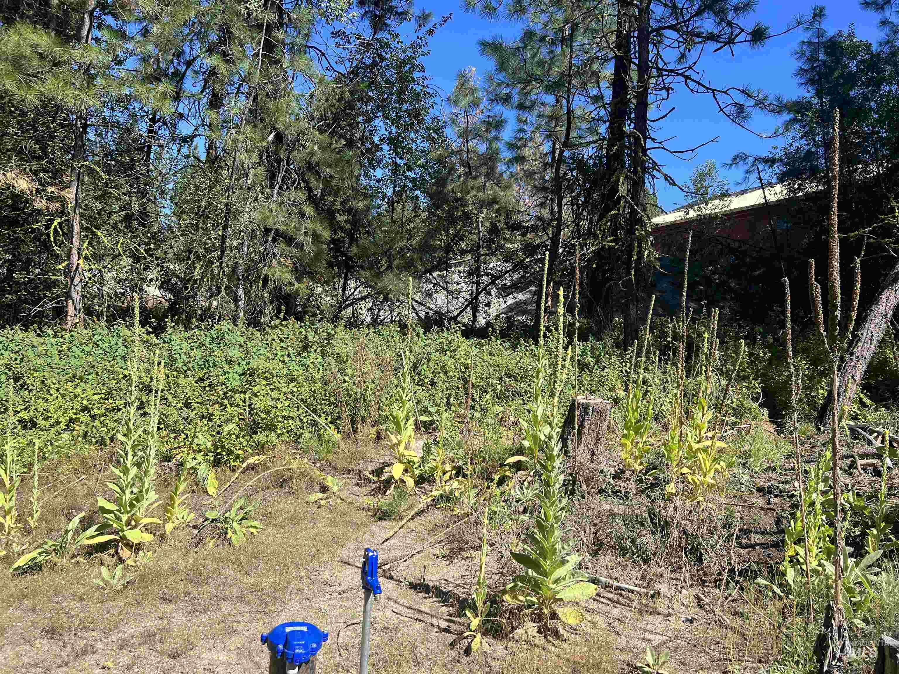 38 Panorama Dr, Cascade, Idaho 83611, Land For Sale, Price $217,500,MLS 98984799