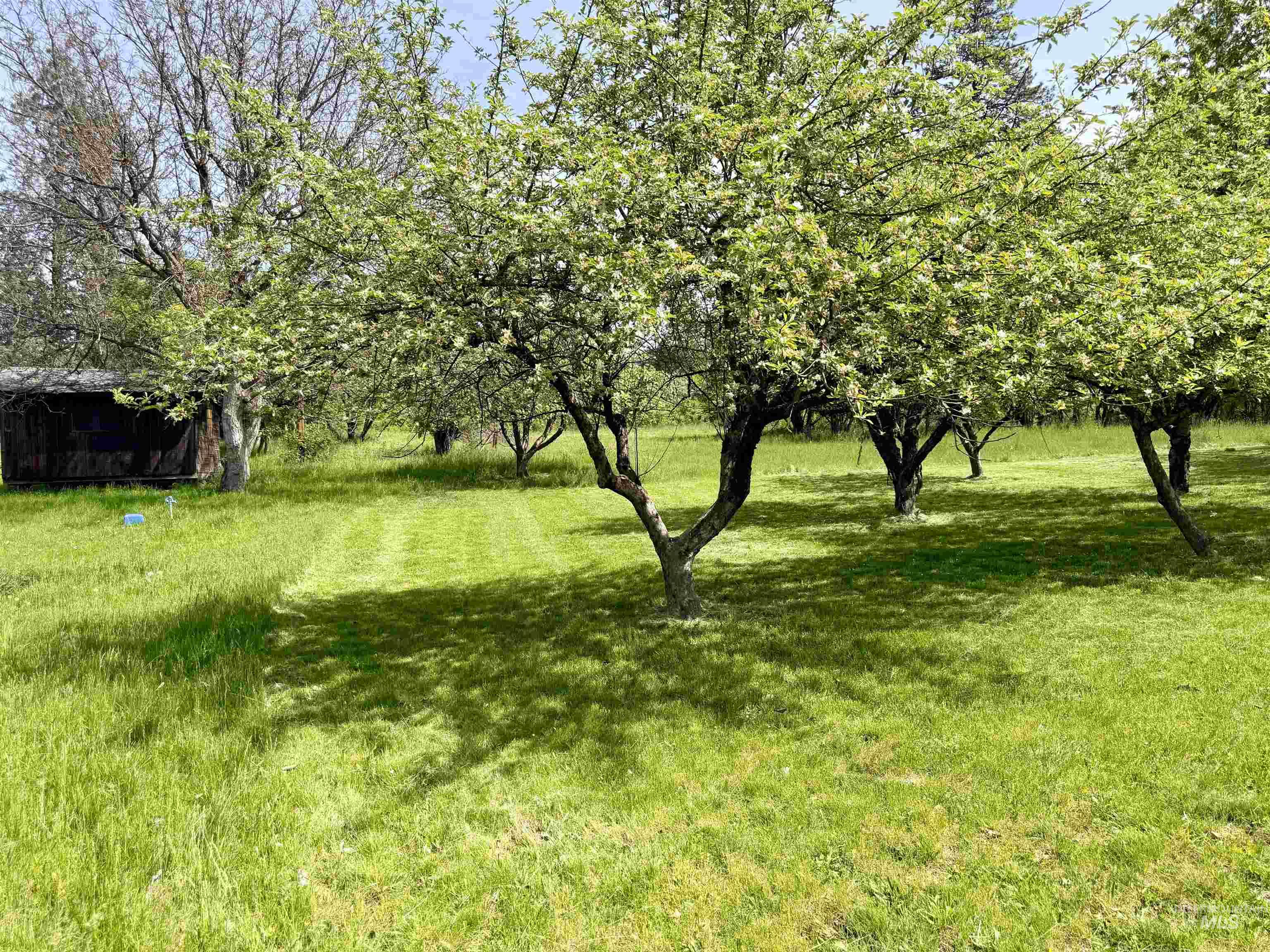 1215 Ridgewood Drive, Kamiah, Idaho 83536, 2 Bedrooms, 2 Bathrooms, Residential For Sale, Price $550,000, 98984821