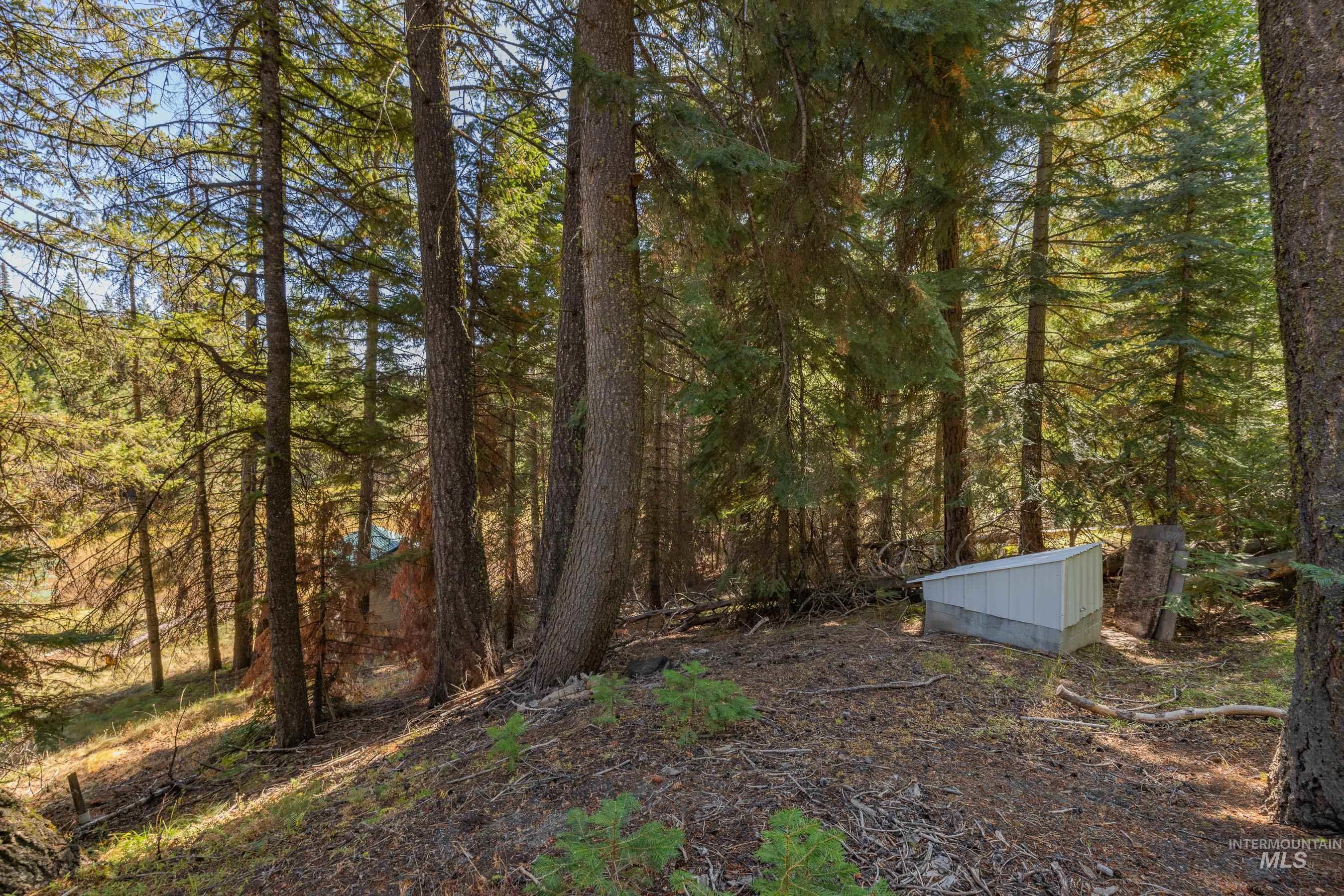 2126 Lydia Drive, Donnelly, Idaho 83615, Land For Sale, Price $395,000, 98984823