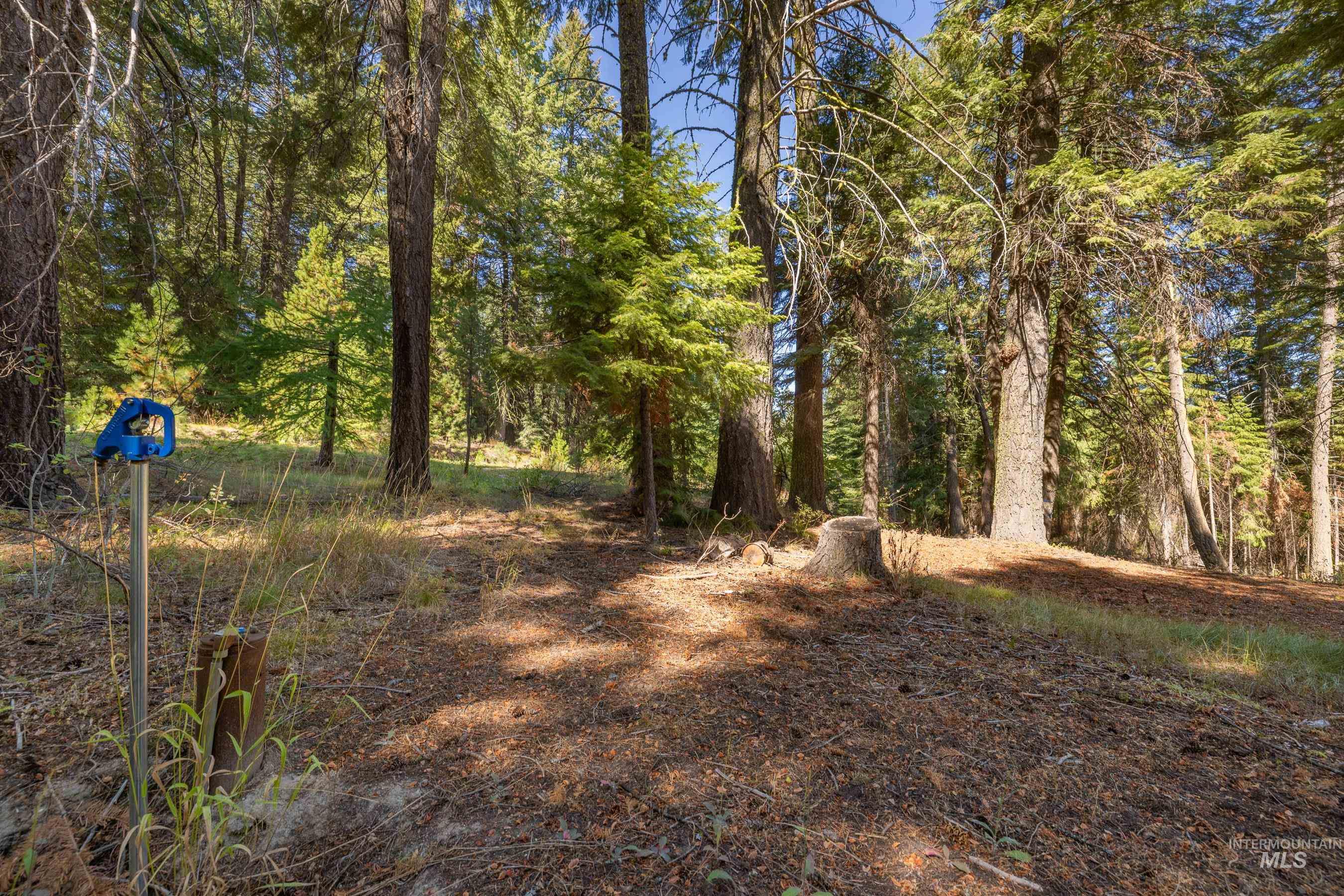 2126 Lydia Drive, Donnelly, Idaho 83615, Land For Sale, Price $395,000, 98984823