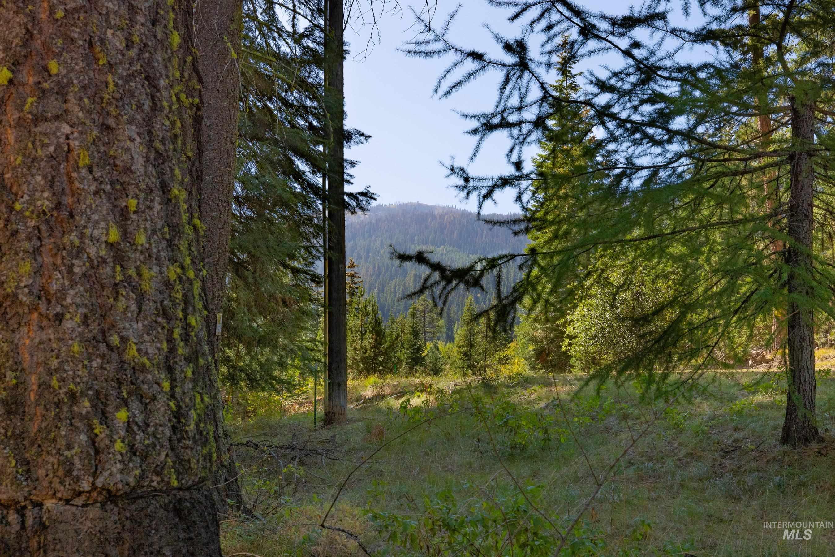 2126 Lydia Drive, Donnelly, Idaho 83615, Land For Sale, Price $395,000, 98984823