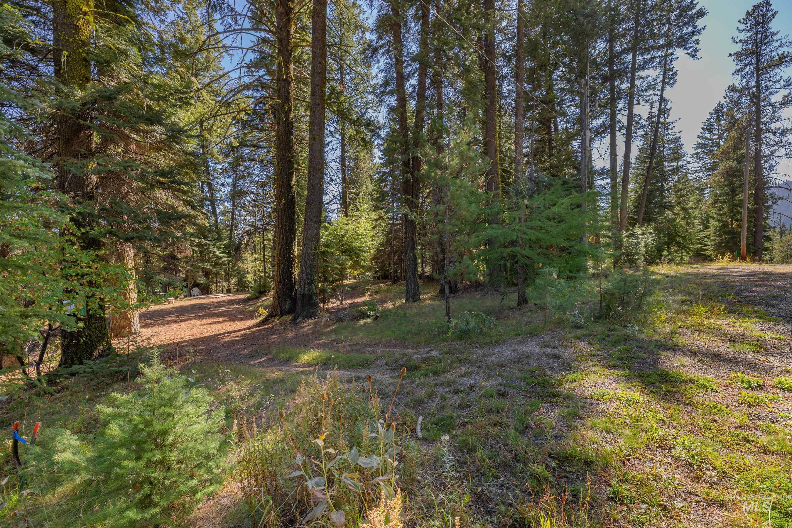 2126 Lydia Drive, Donnelly, Idaho 83615, Land For Sale, Price $395,000, 98984823