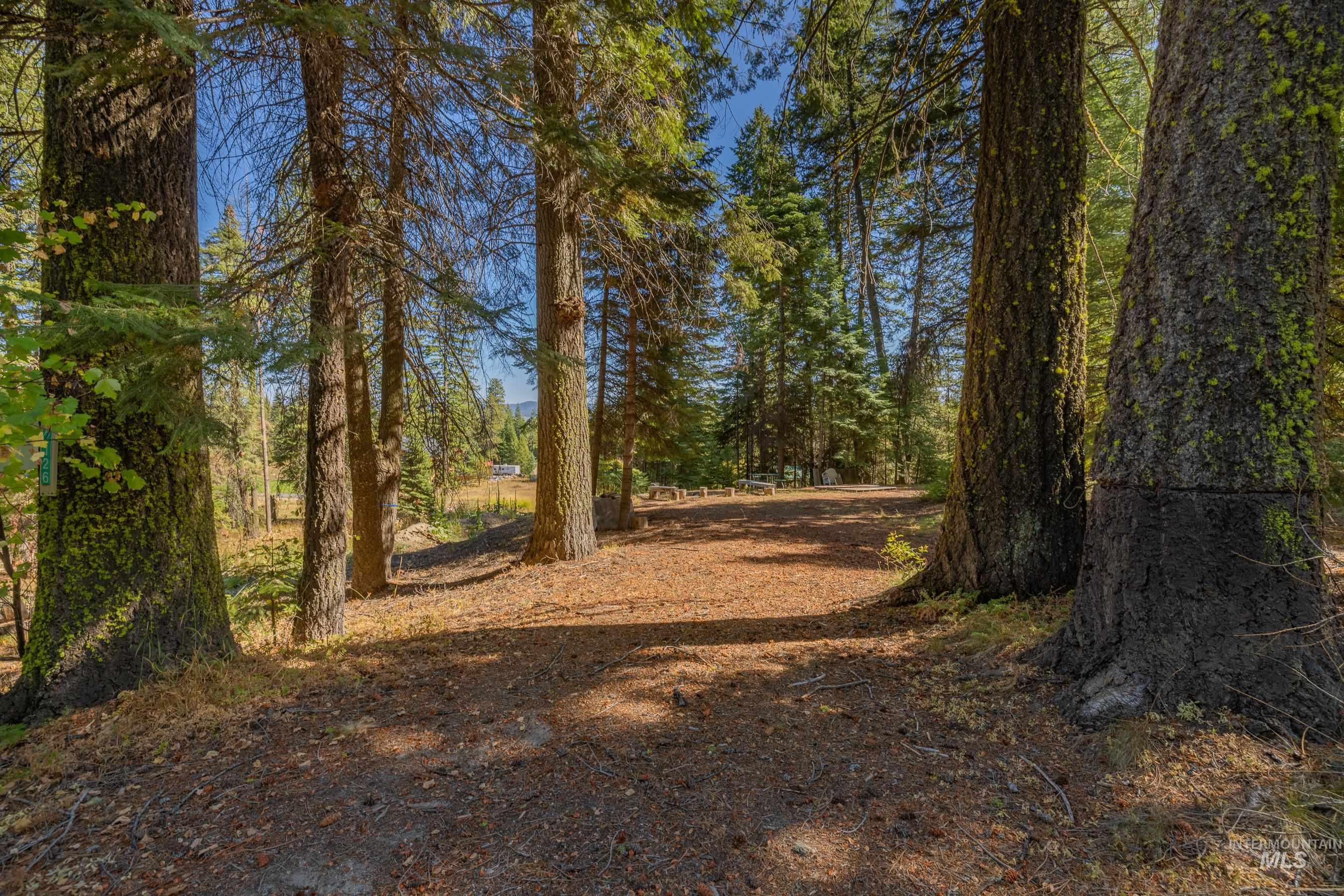 2126 Lydia Drive, Donnelly, Idaho 83615, Land For Sale, Price $395,000, 98984823