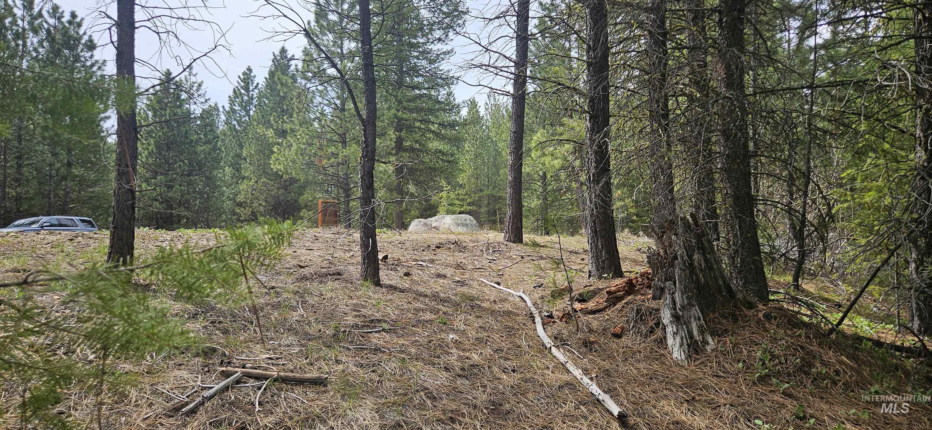 59 Price Loop, Cascade, Idaho 83611, Land For Sale, Price $300,000, 98984849