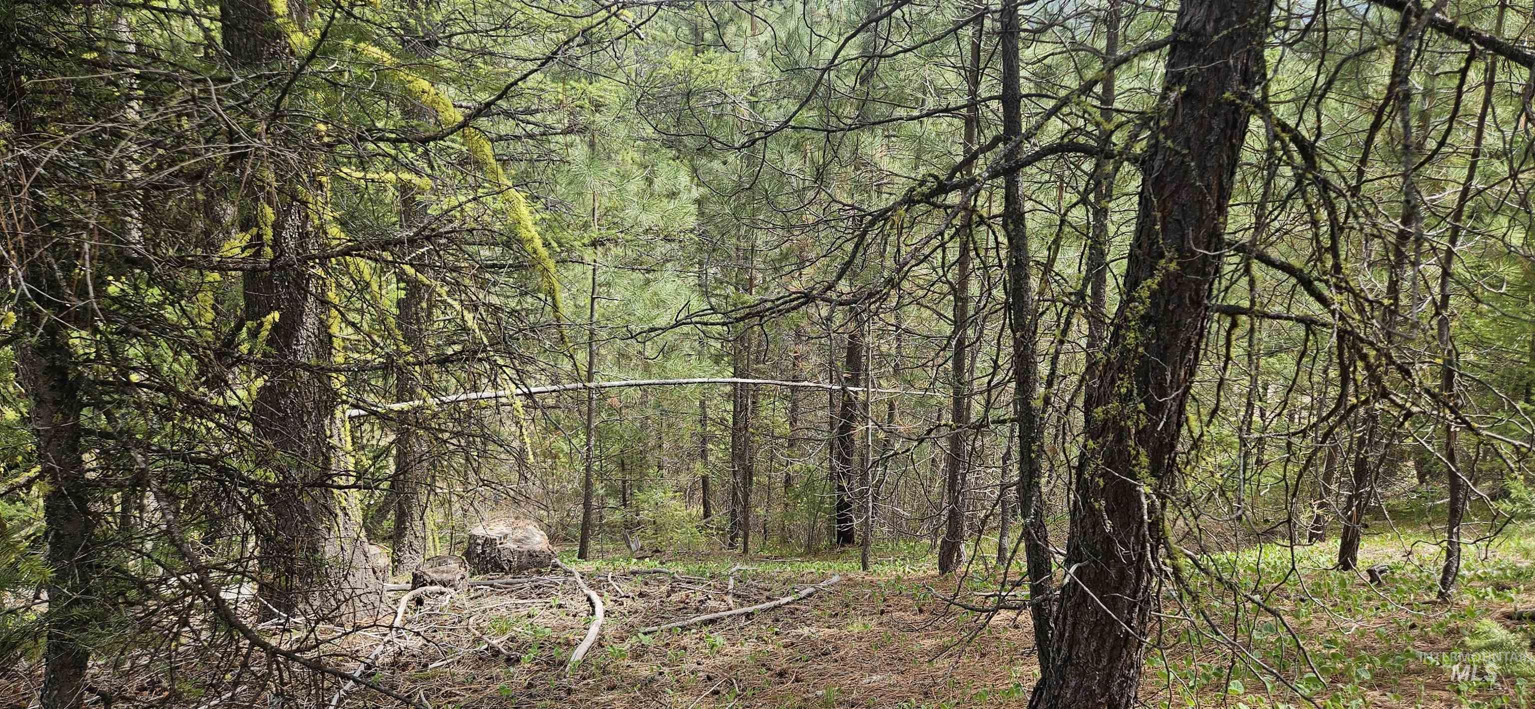 59 Price Loop, Cascade, Idaho 83611, Land For Sale, Price $300,000, 98984849