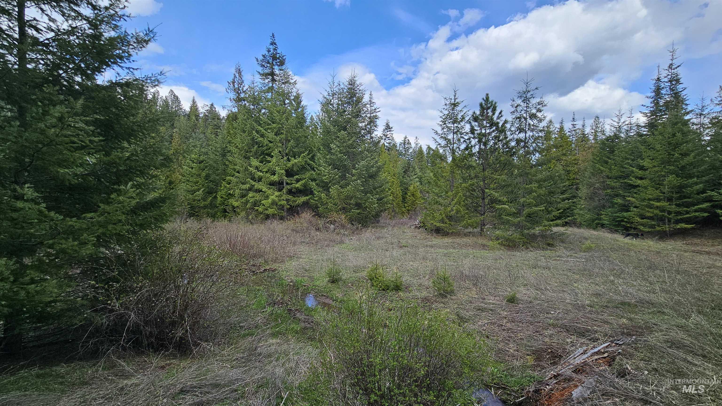 TBD Lynx Lane, Lenore, Idaho 83541, Land For Sale, Price $695,000,MLS 98984864