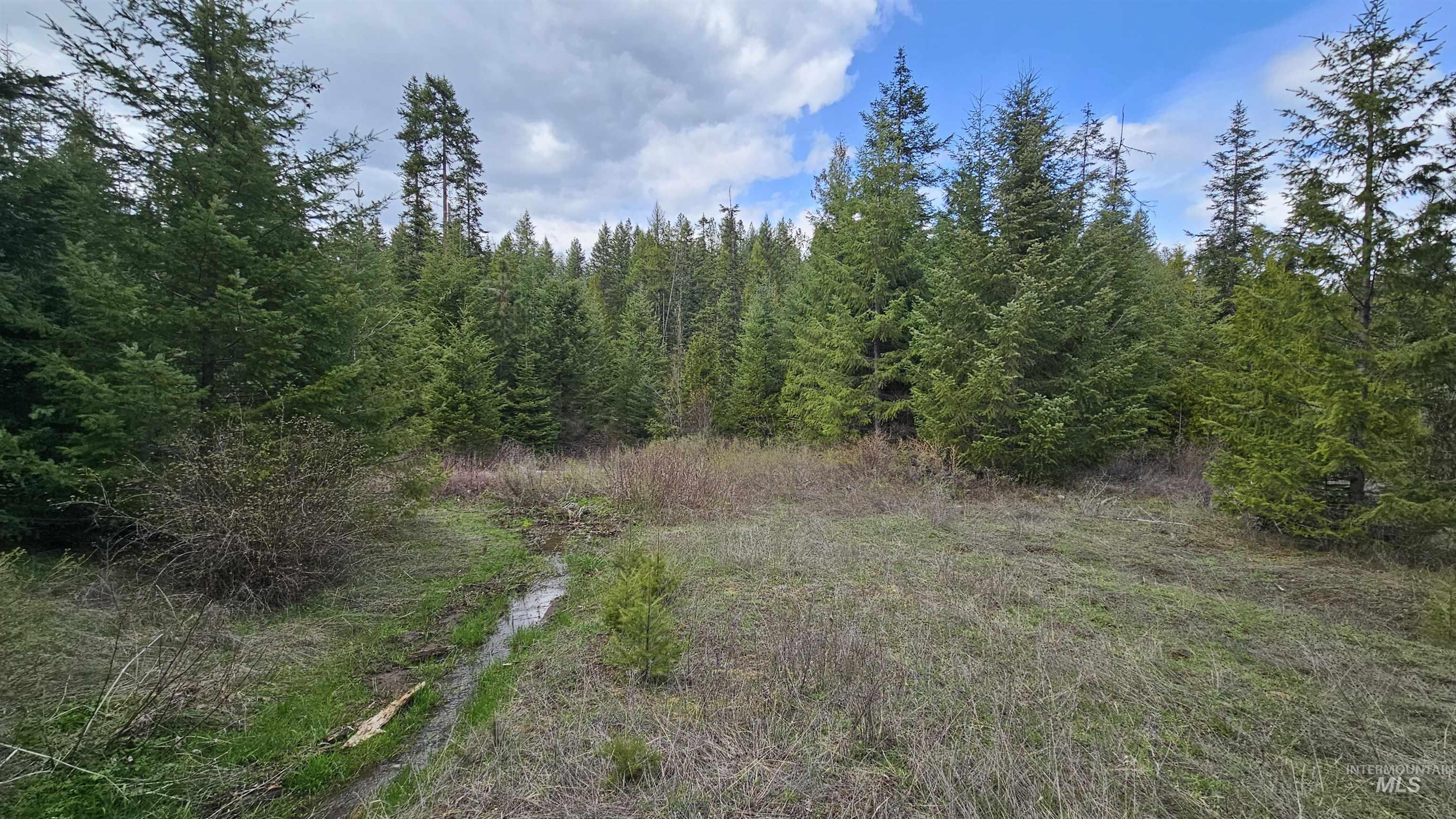 TBD Lynx Lane, Lenore, Idaho 83541, Land For Sale, Price $695,000,MLS 98984864