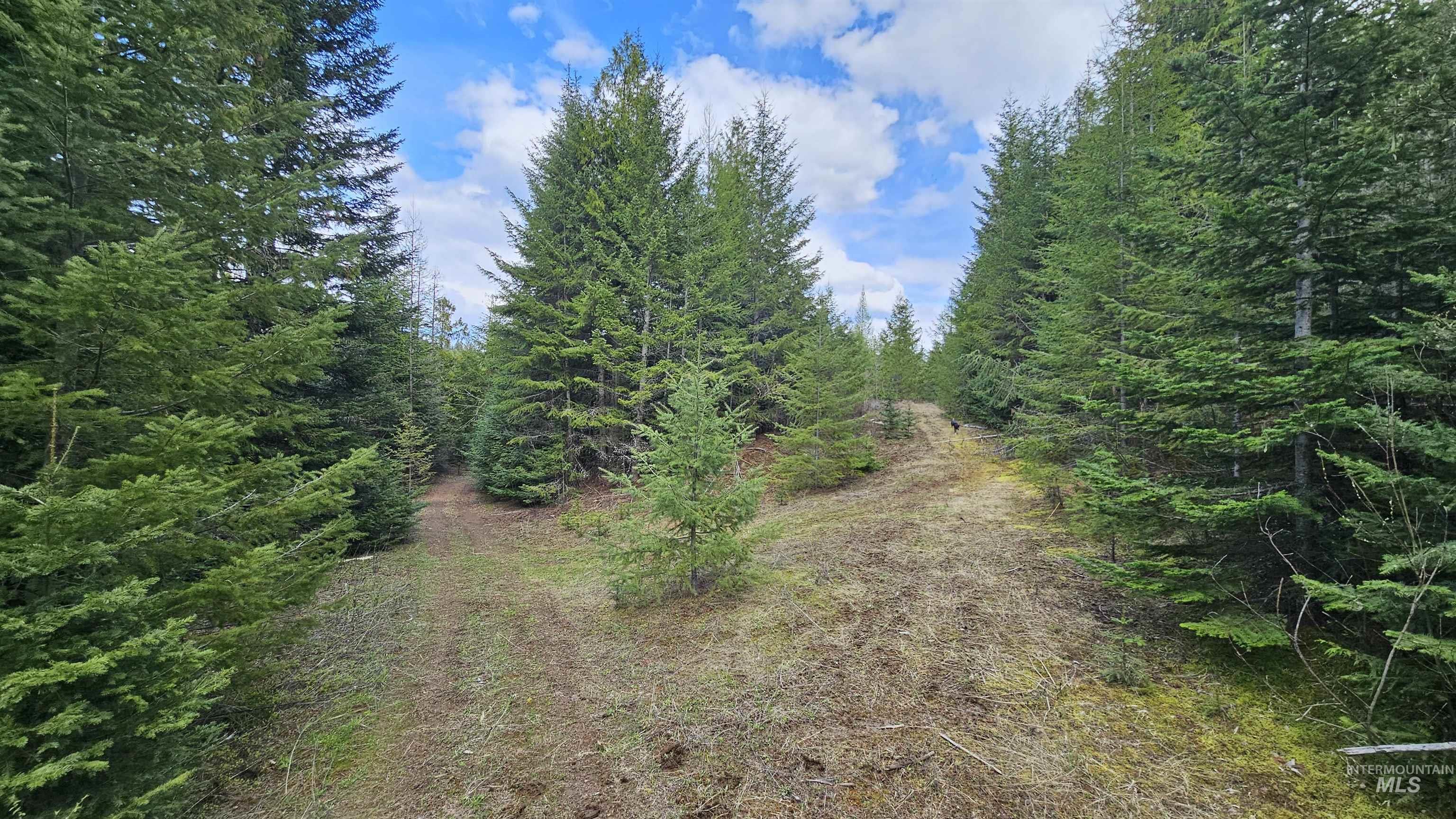 TBD Lynx Lane, Lenore, Idaho 83541, Land For Sale, Price $695,000,MLS 98984864