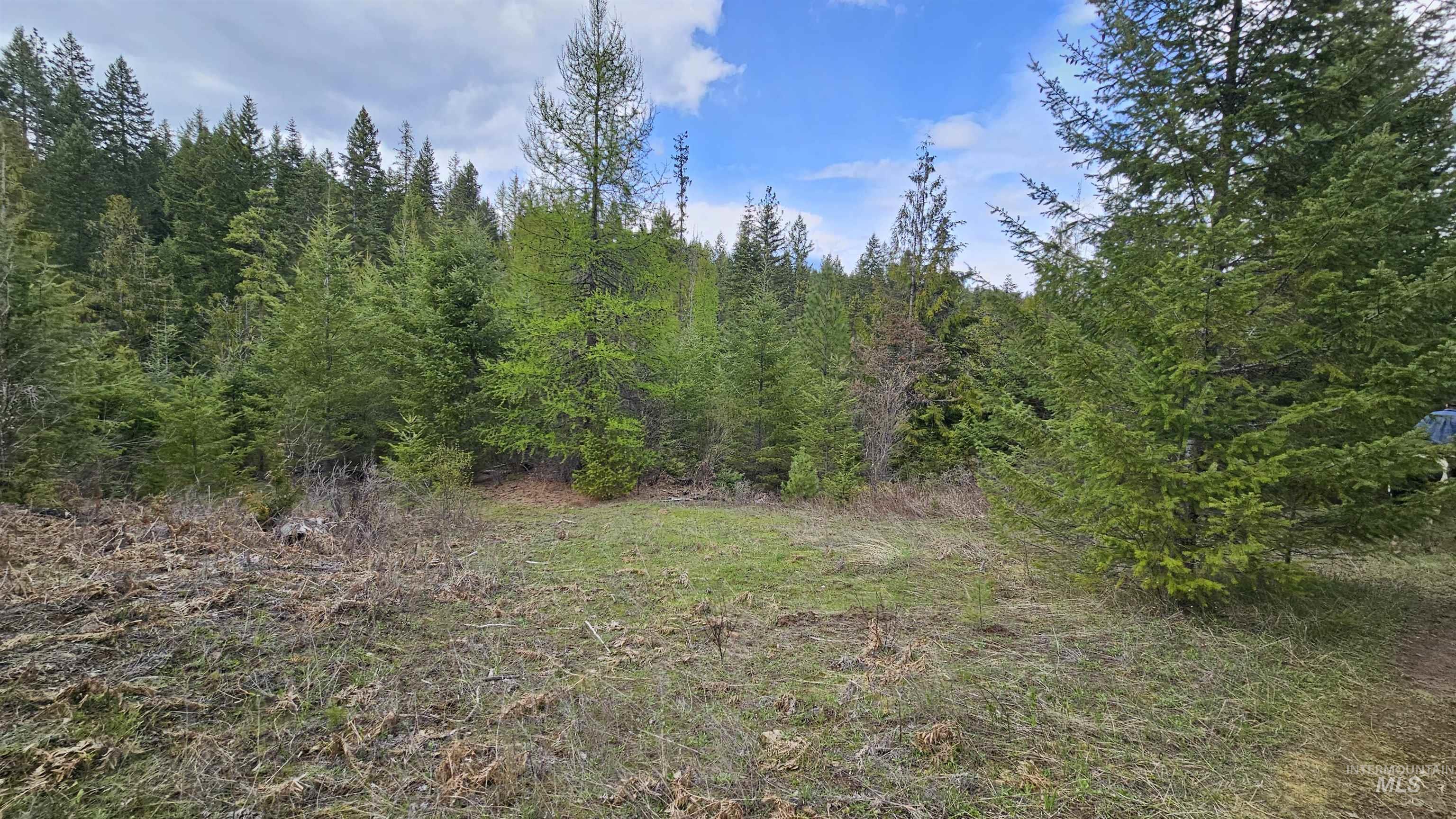 TBD Lynx Lane, Lenore, Idaho 83541, Land For Sale, Price $695,000,MLS 98984864