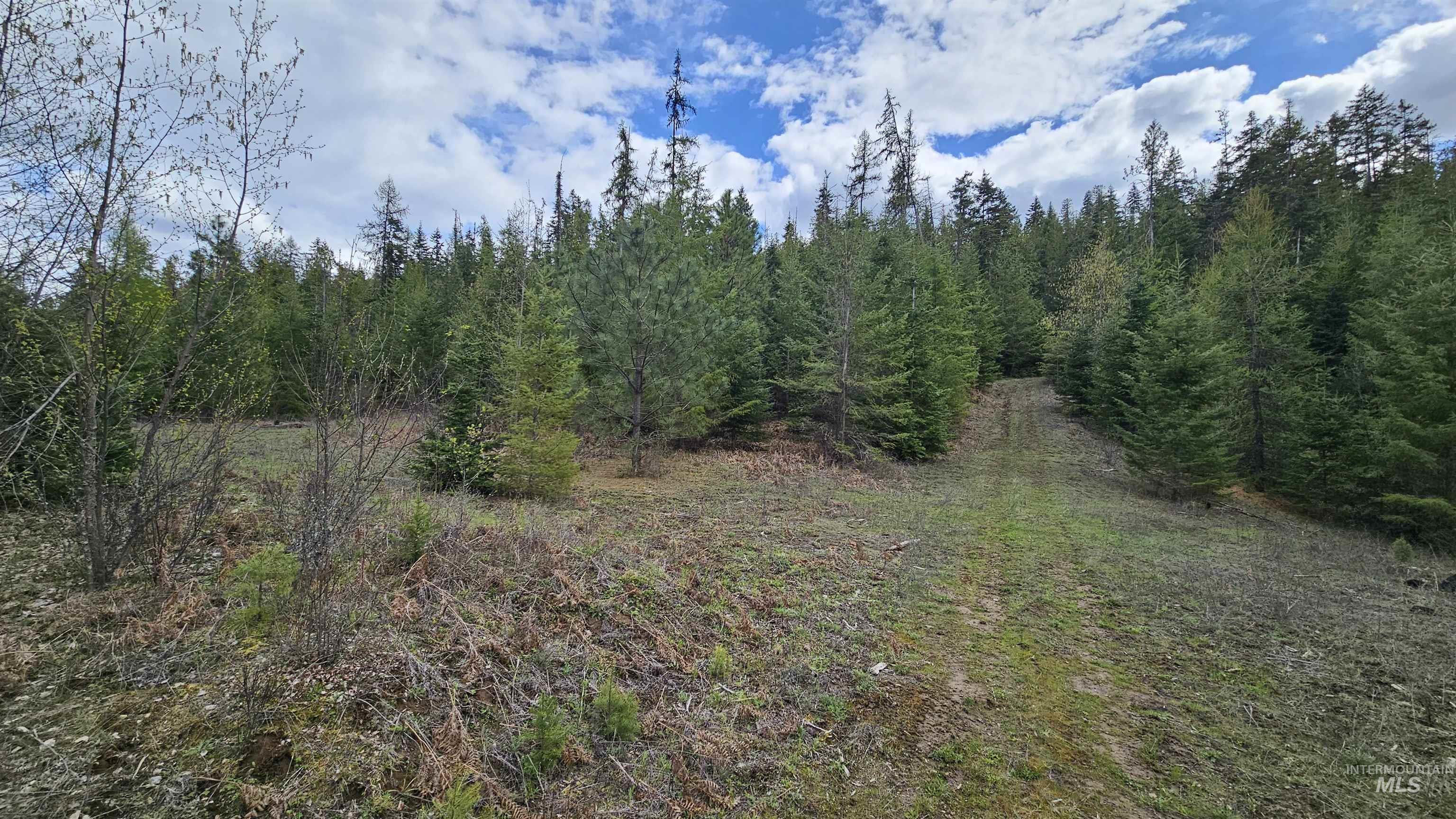 TBD Lynx Lane, Lenore, Idaho 83541, Land For Sale, Price $695,000,MLS 98984864