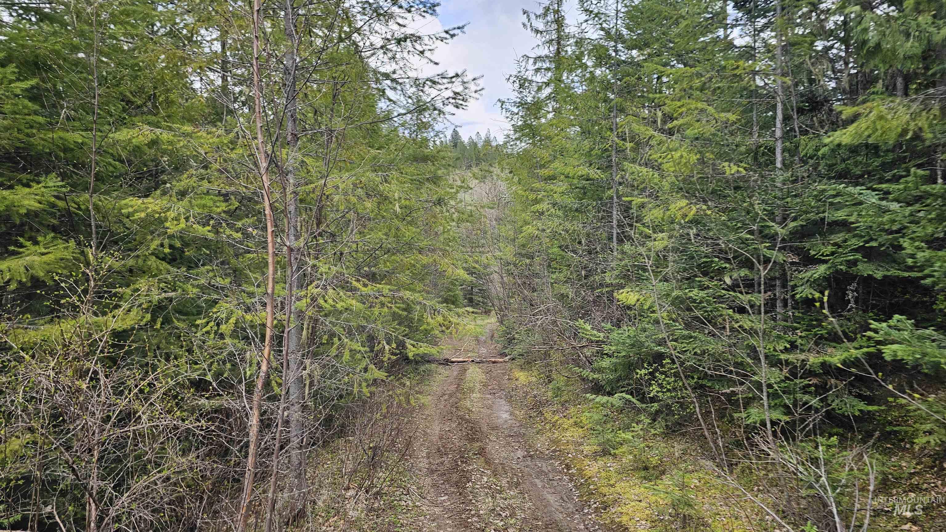 TBD Lynx Lane, Lenore, Idaho 83541, Land For Sale, Price $695,000,MLS 98984864