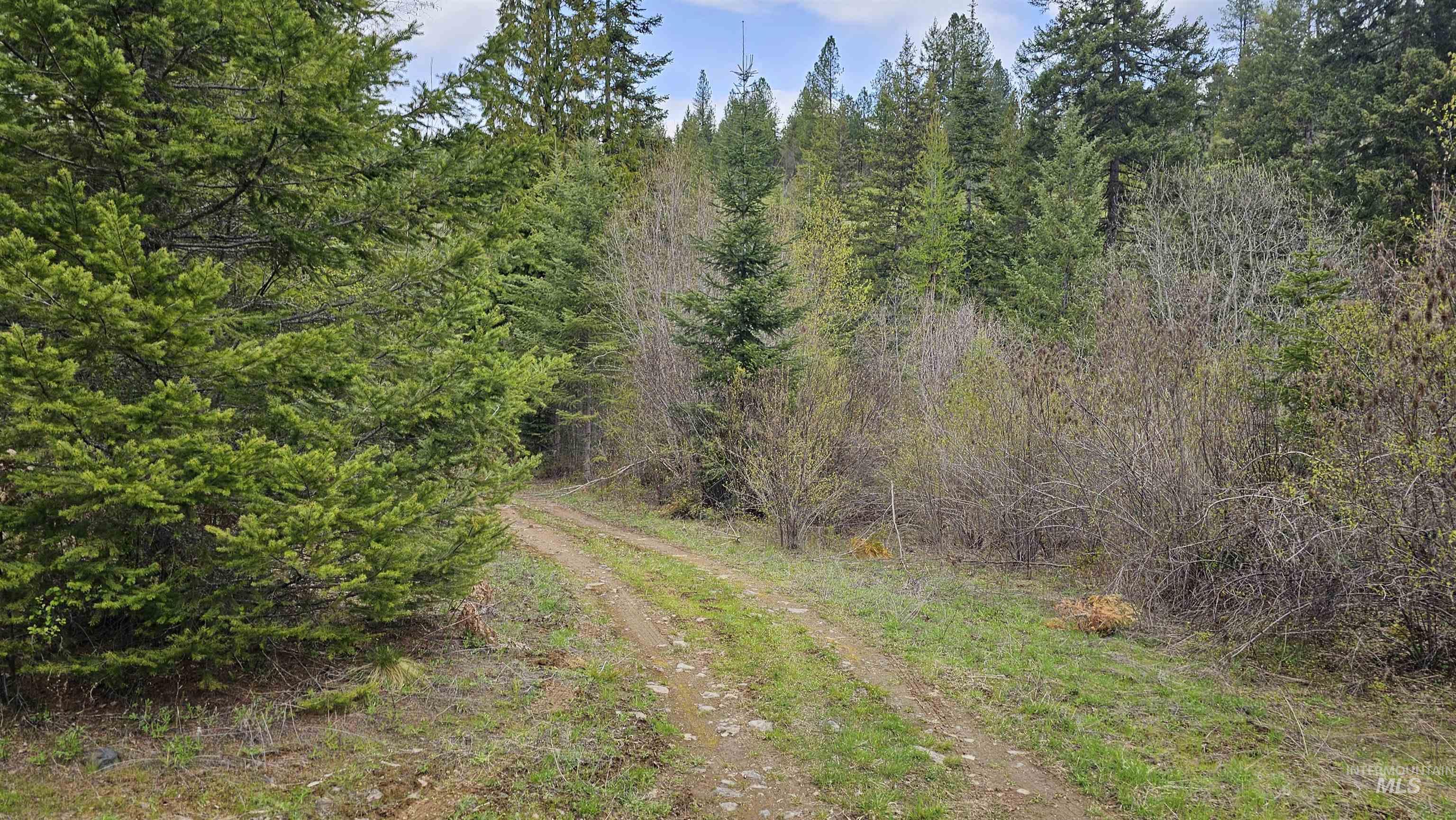 TBD Lynx Lane, Lenore, Idaho 83541, Land For Sale, Price $695,000,MLS 98984864