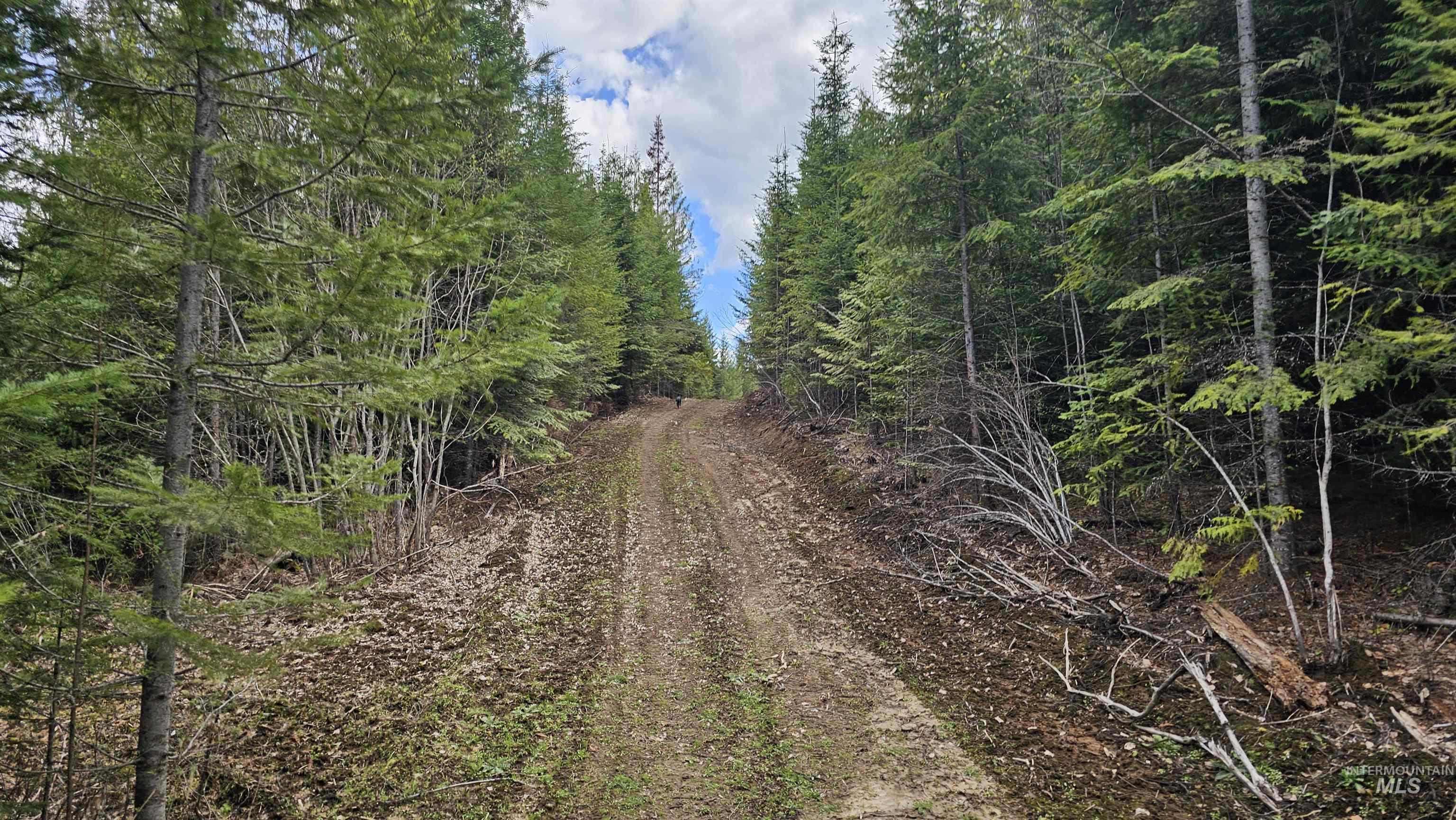 TBD Lynx Lane, Lenore, Idaho 83541, Land For Sale, Price $695,000,MLS 98984864