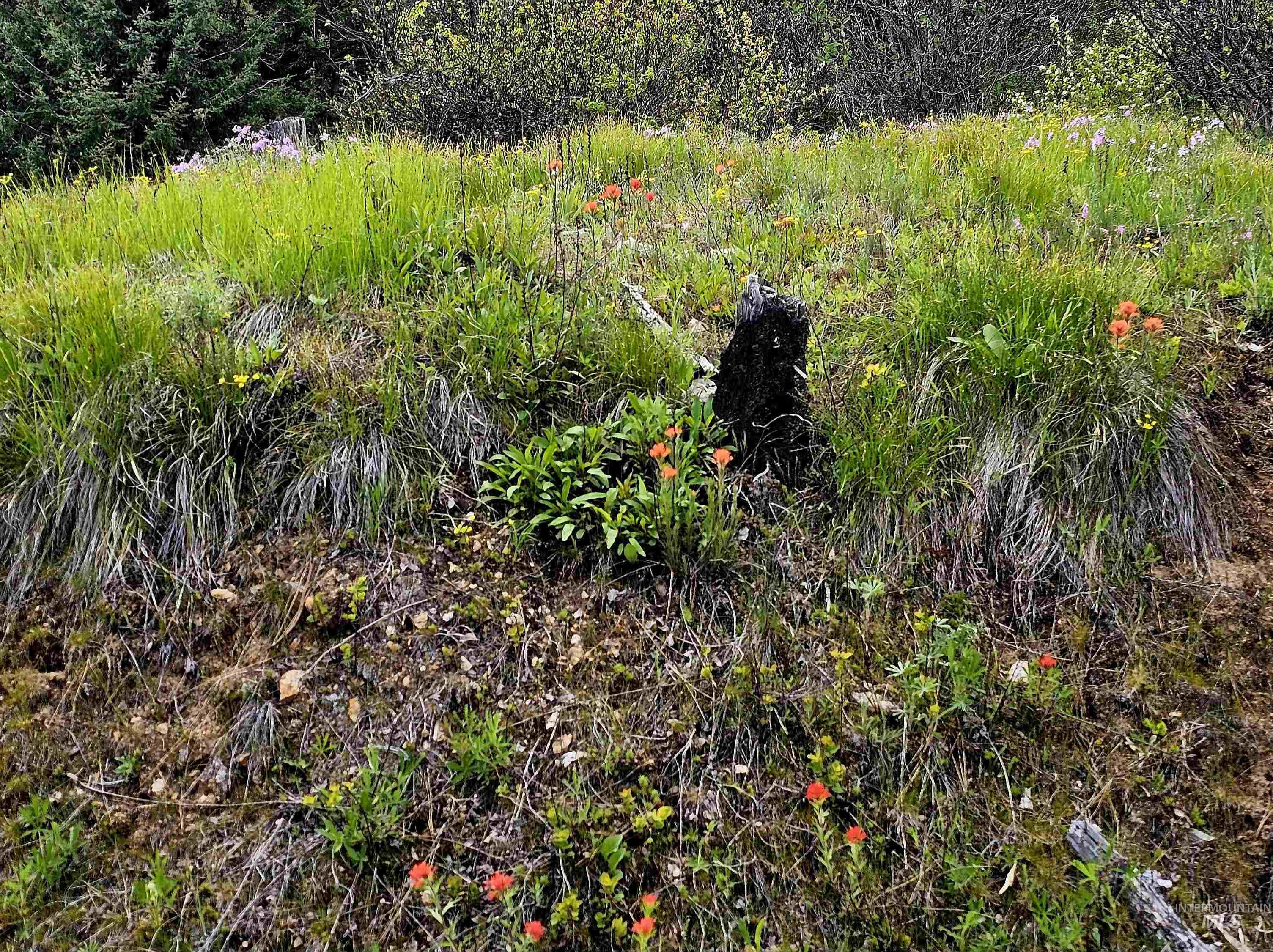 TBD Lynx Lane, Lenore, Idaho 83541, Land For Sale, Price $695,000,MLS 98984864