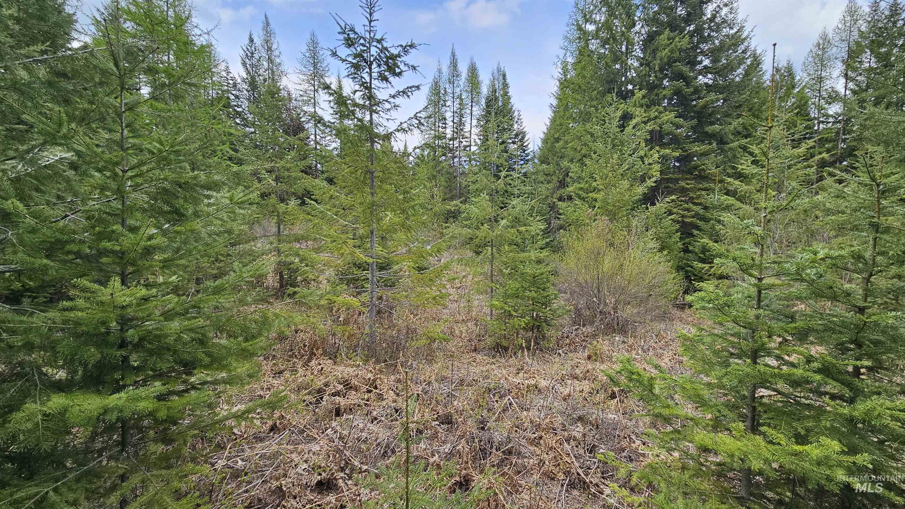 TBD Lynx Lane, Lenore, Idaho 83541, Land For Sale, Price $695,000,MLS 98984864