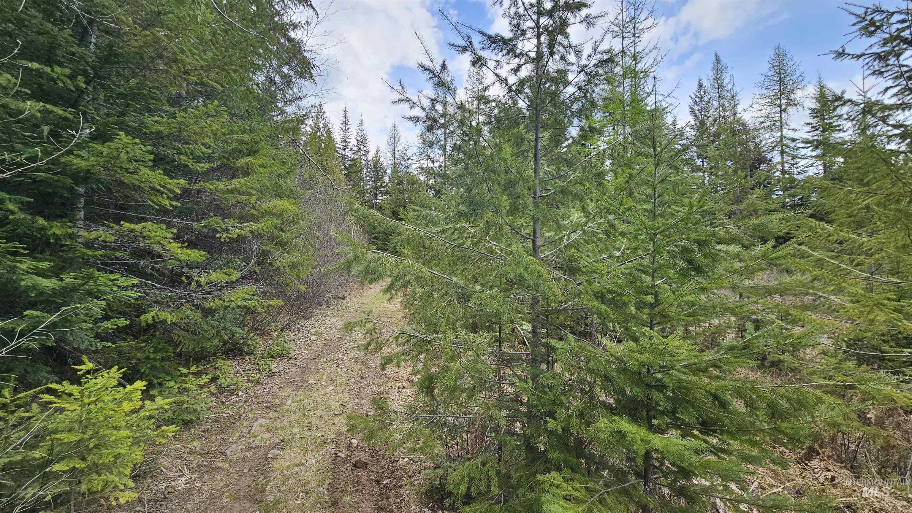 TBD Lynx Lane, Lenore, Idaho 83541, Land For Sale, Price $695,000,MLS 98984864