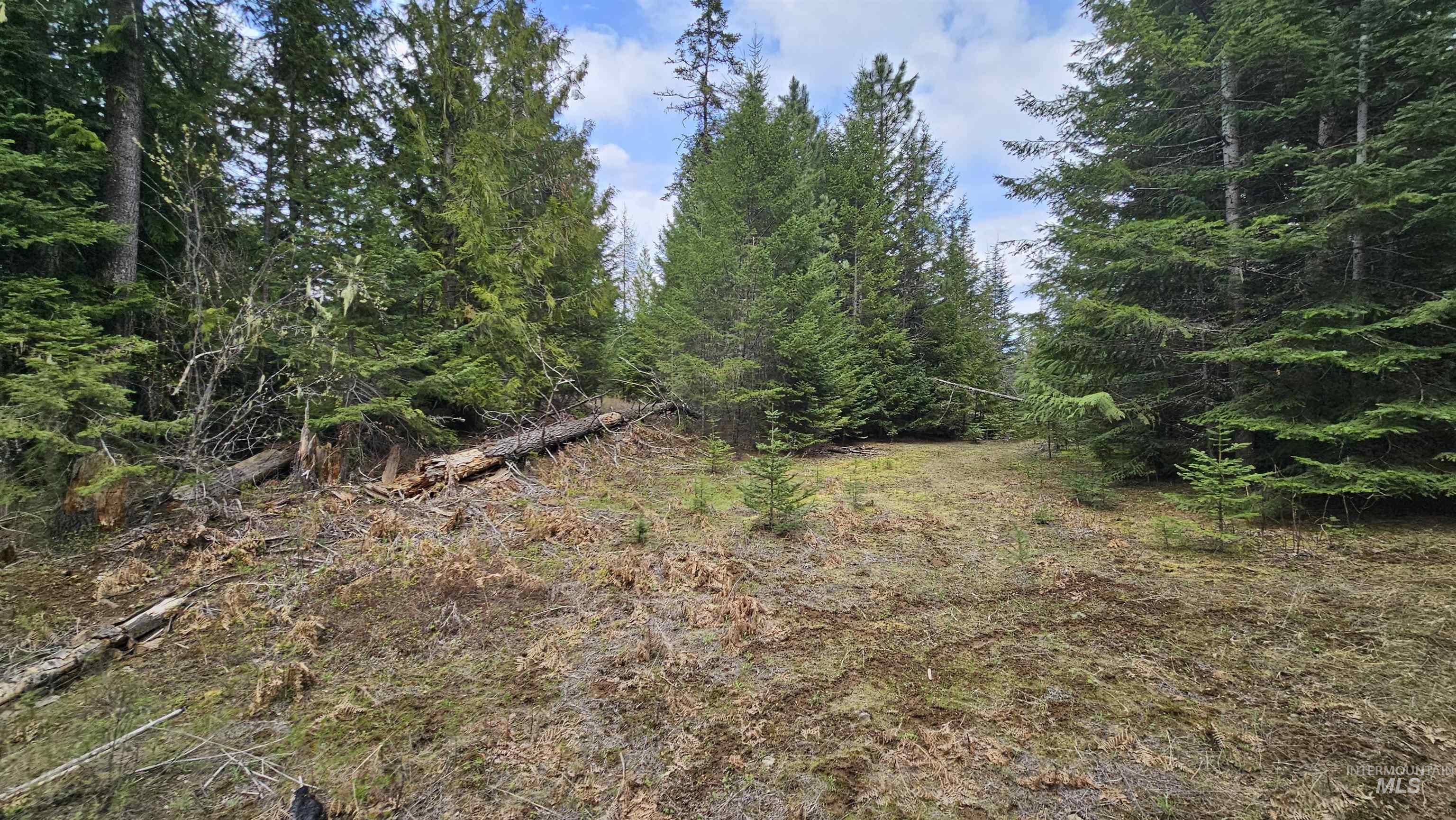 TBD Lynx Lane, Lenore, Idaho 83541, Land For Sale, Price $695,000,MLS 98984864