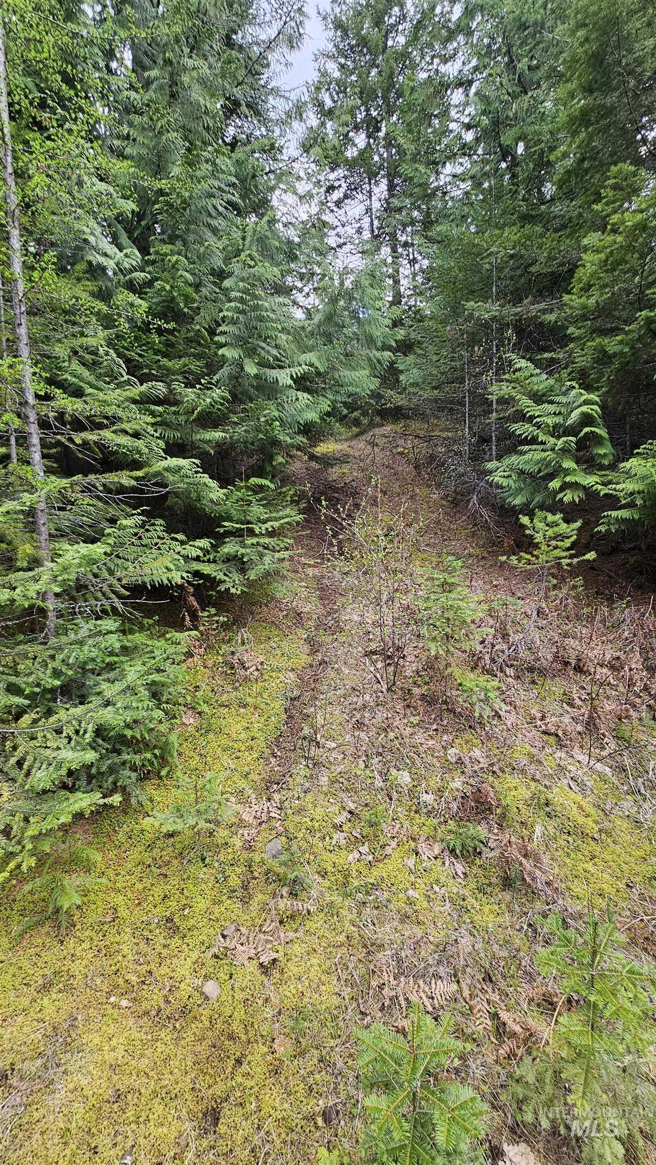 TBD Lynx Lane, Lenore, Idaho 83541, Land For Sale, Price $695,000,MLS 98984864