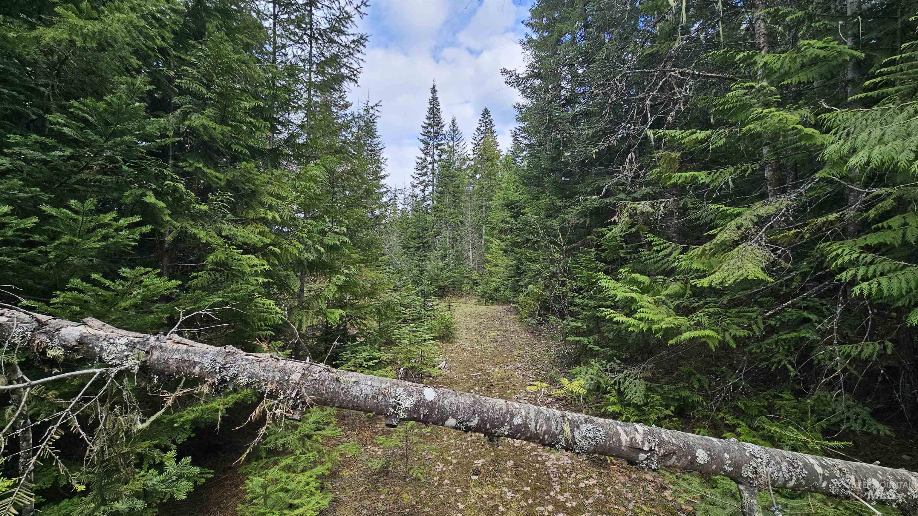 TBD Lynx Lane, Lenore, Idaho 83541, Land For Sale, Price $695,000,MLS 98984864