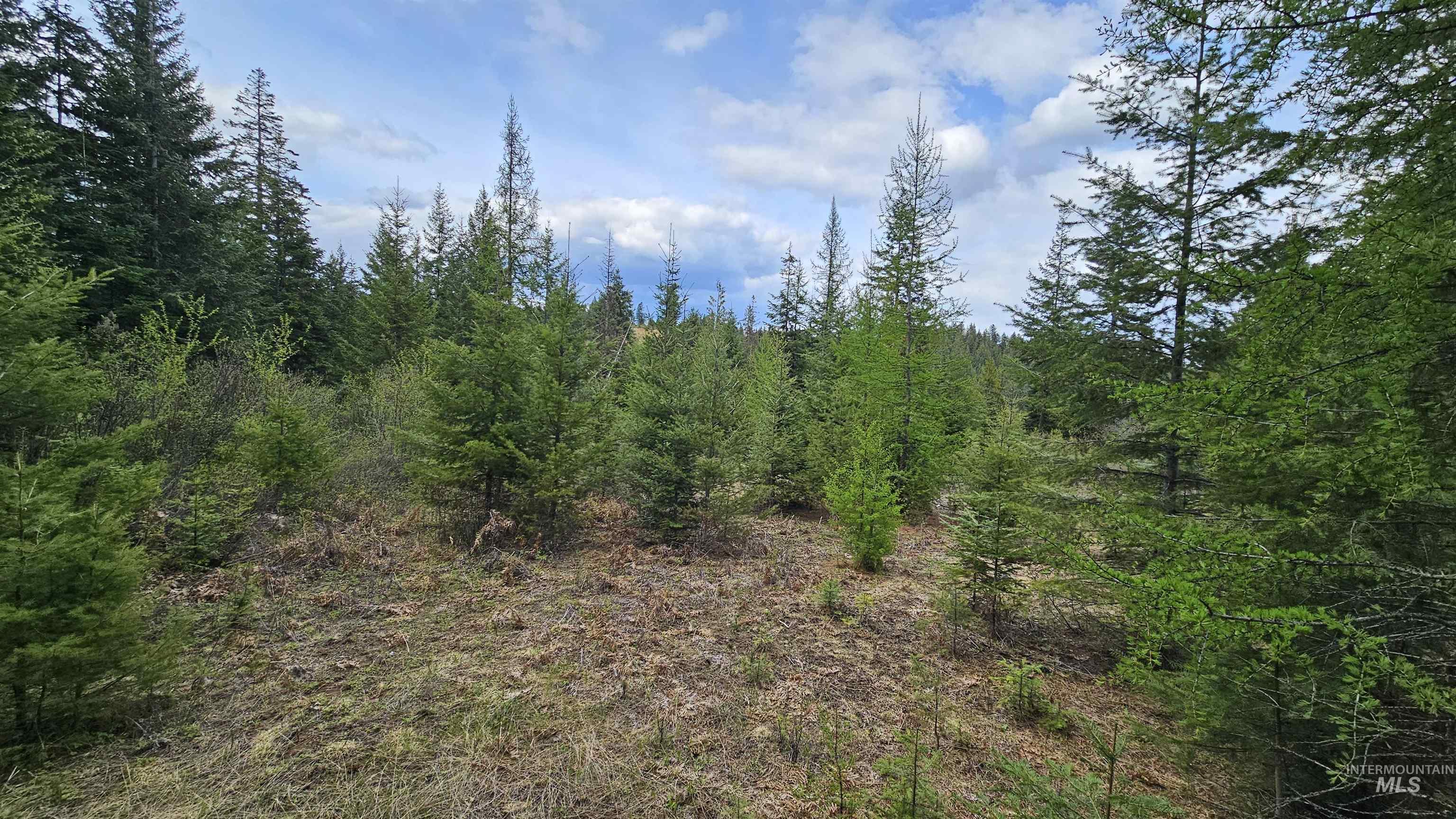 TBD Lynx Lane, Lenore, Idaho 83541, Land For Sale, Price $695,000,MLS 98984864