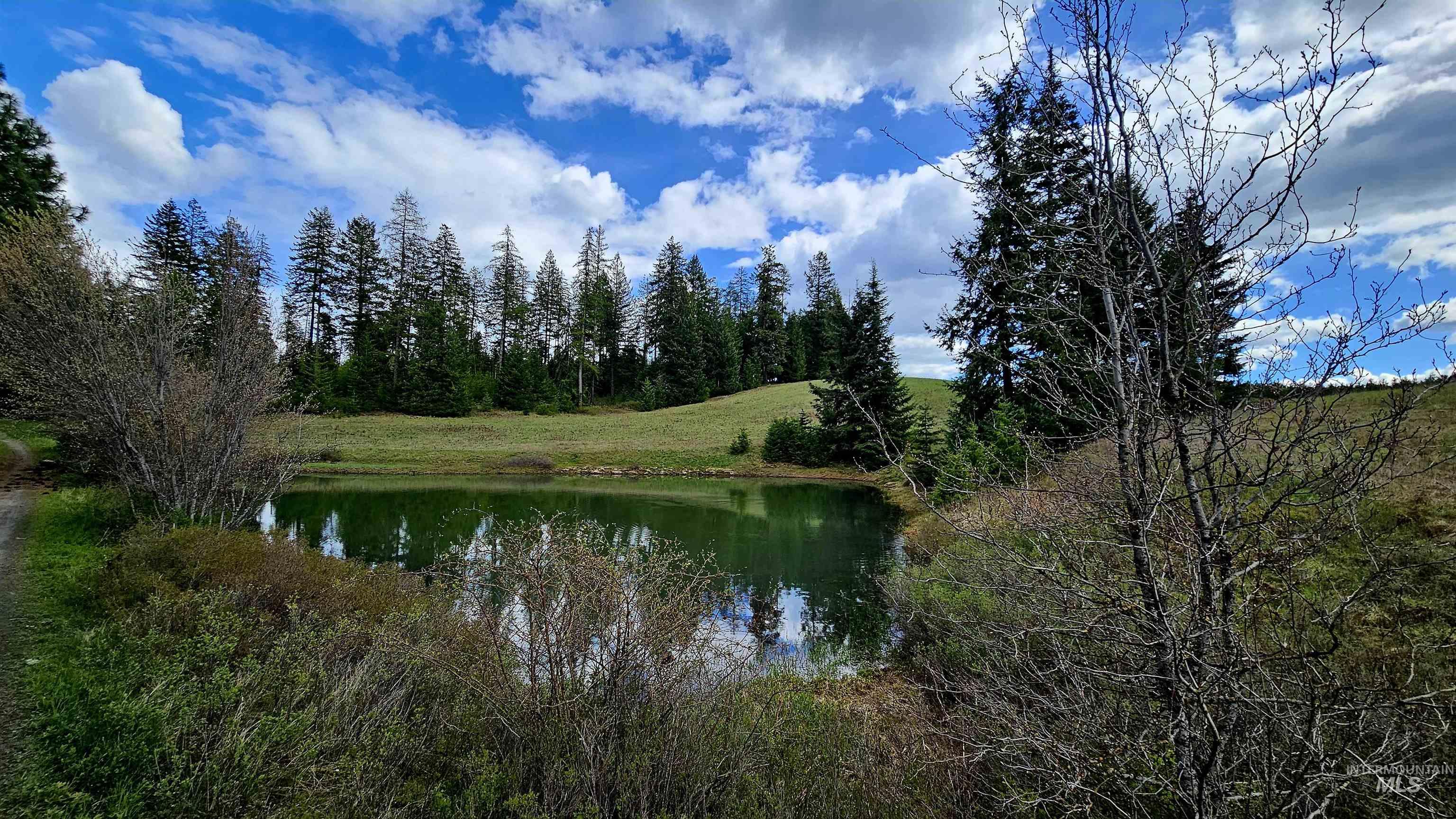 TBD Lynx Lane, Lenore, Idaho 83541, Land For Sale, Price $695,000,MLS 98984864