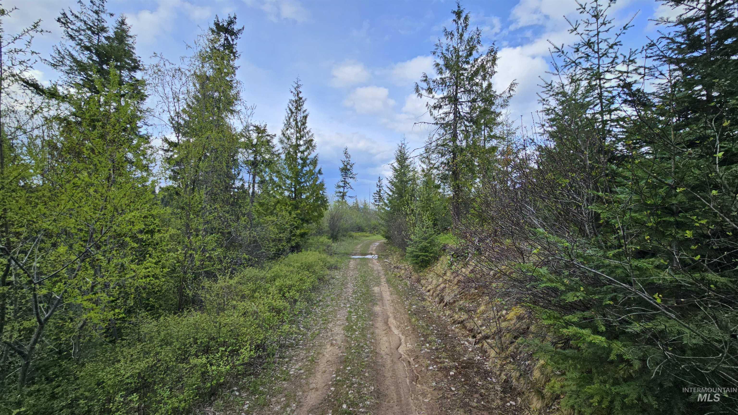 TBD Lynx Lane, Lenore, Idaho 83541, Land For Sale, Price $695,000,MLS 98984864