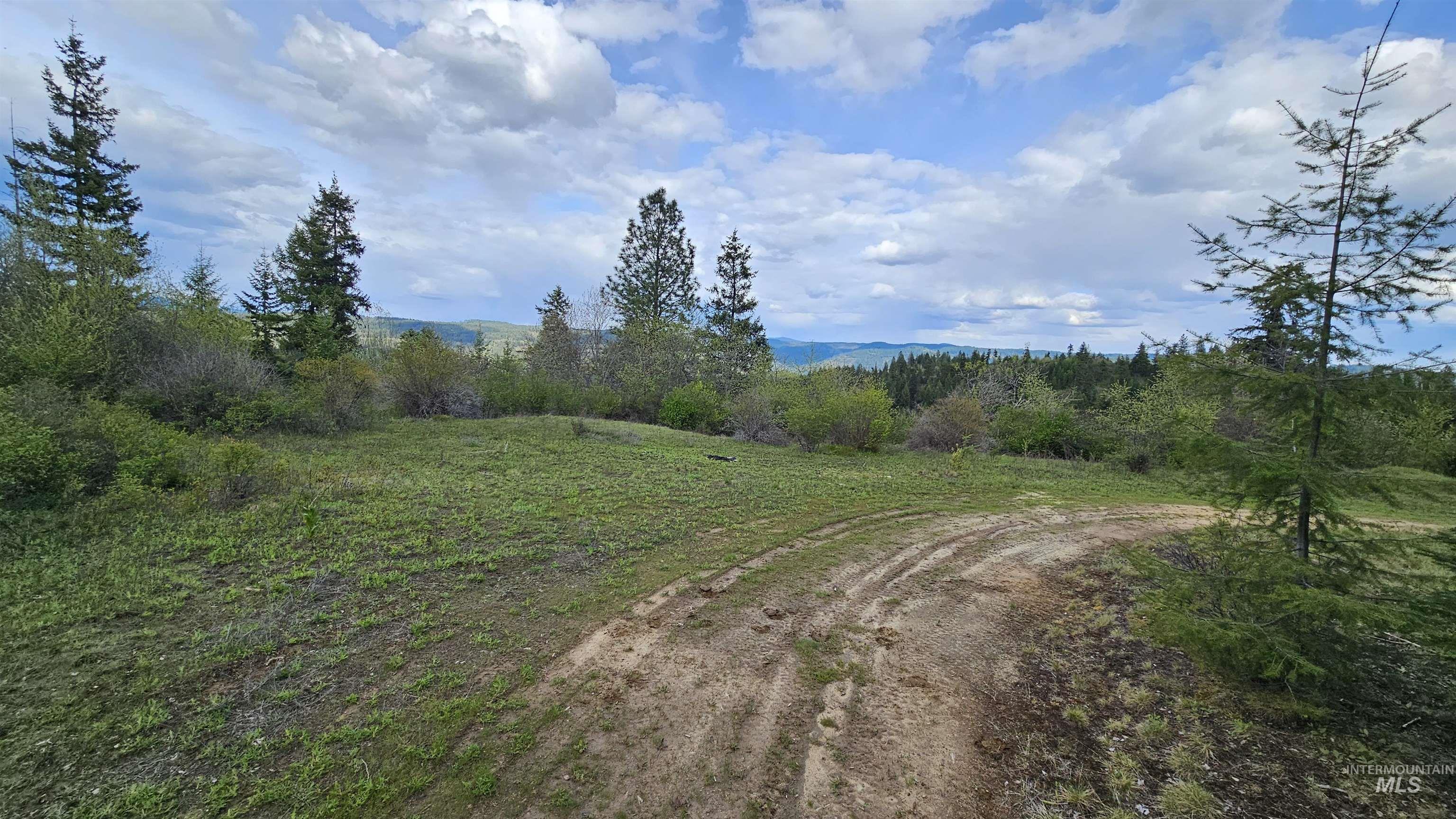 TBD Lynx Lane, Lenore, Idaho 83541, Land For Sale, Price $695,000,MLS 98984864