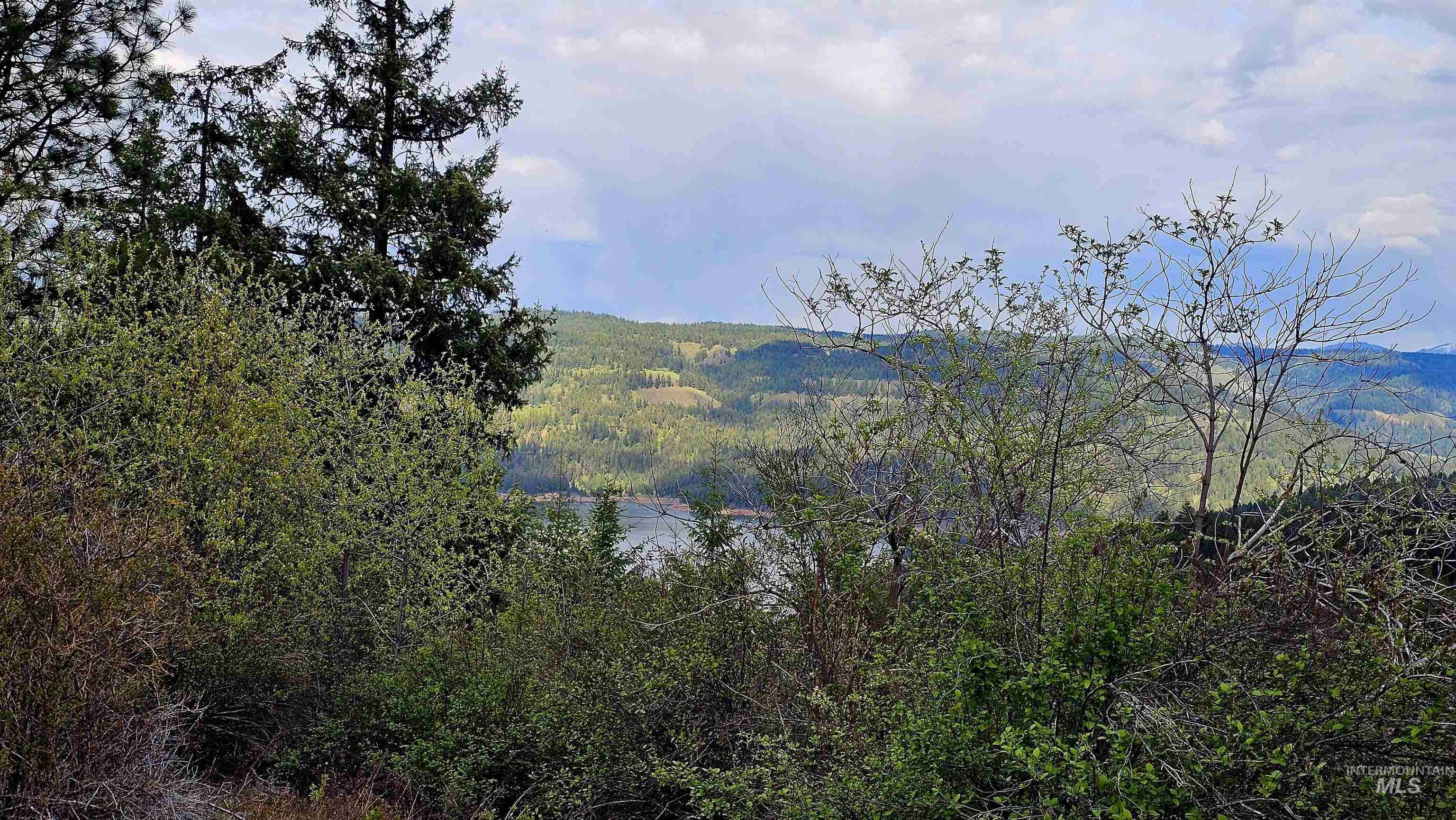 TBD Lynx Lane, Lenore, Idaho 83541, Land For Sale, Price $695,000,MLS 98984864