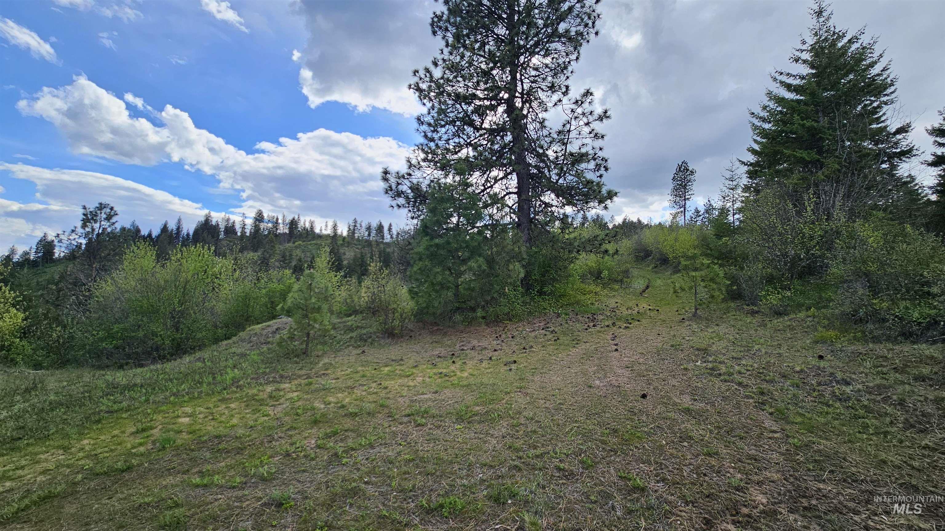 TBD Lynx Lane, Lenore, Idaho 83541, Land For Sale, Price $695,000,MLS 98984864