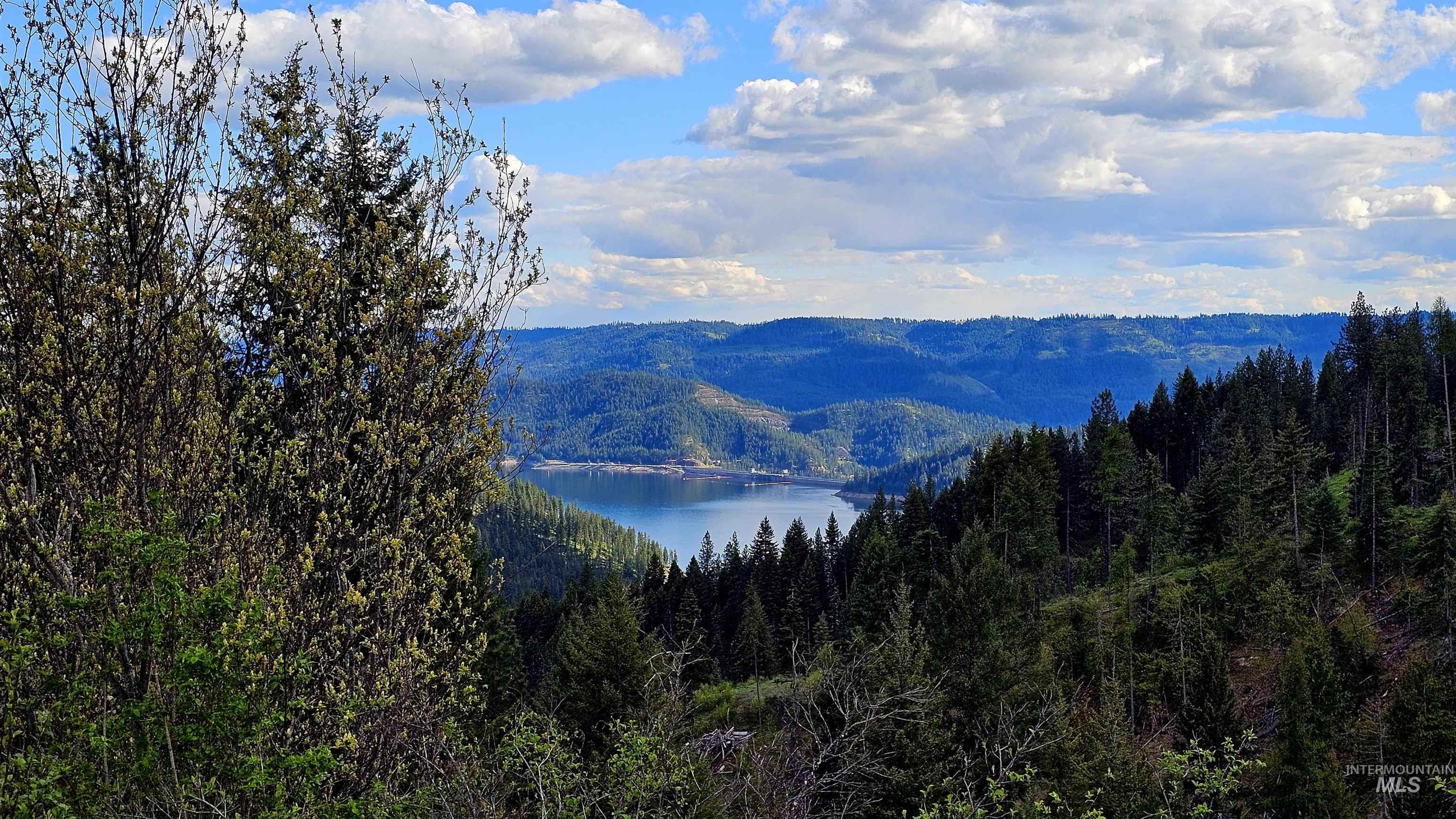 TBD Lynx Lane, Lenore, Idaho 83541, Land For Sale, Price $695,000,MLS 98984864