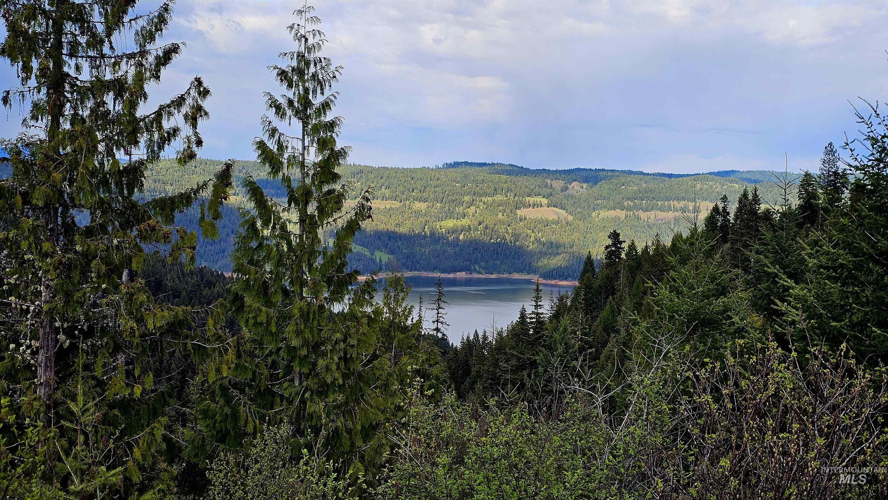 TBD Lynx Lane, Lenore, Idaho 83541, Land For Sale, Price $695,000,MLS 98984864
