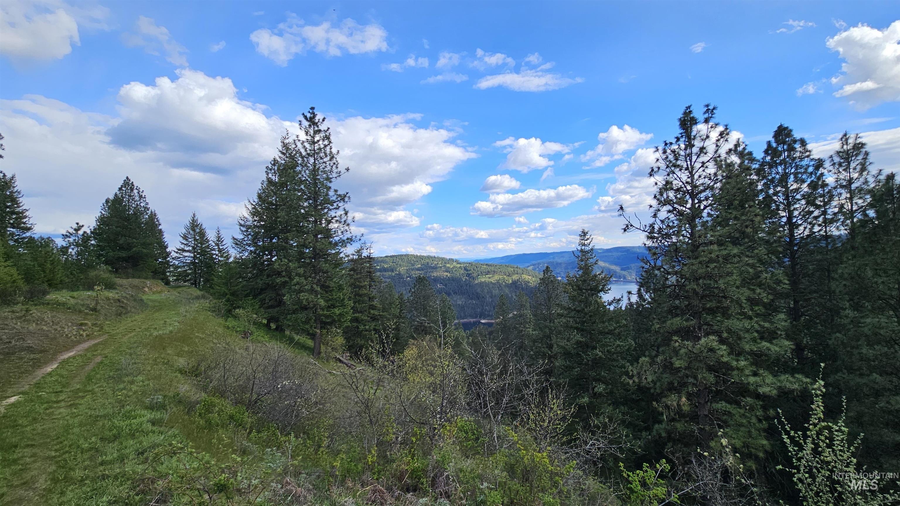 TBD Lynx Lane, Lenore, Idaho 83541, Land For Sale, Price $695,000,MLS 98984864