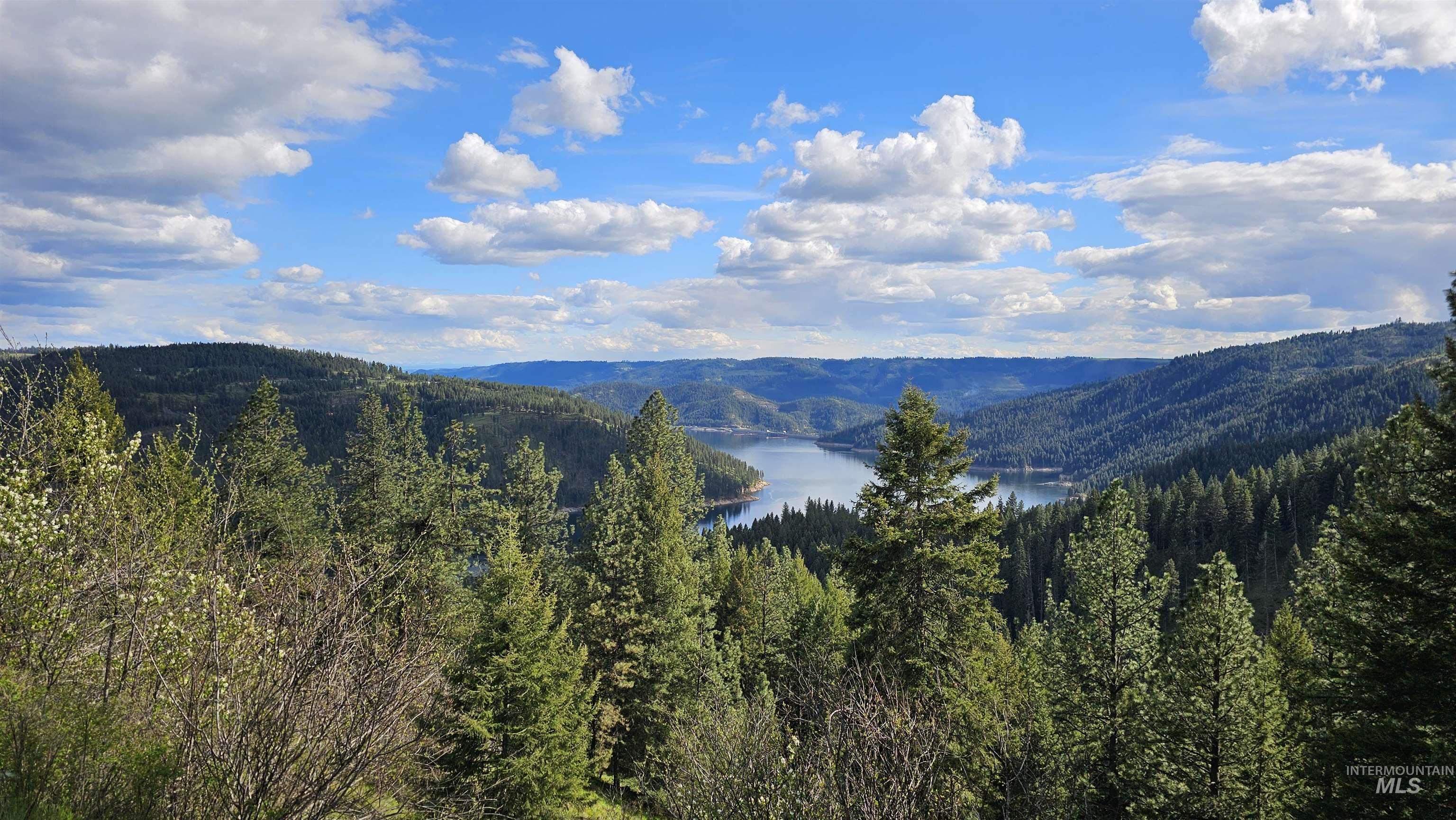 TBD Lynx Lane, Lenore, Idaho 83541, Land For Sale, Price $695,000,MLS 98984864