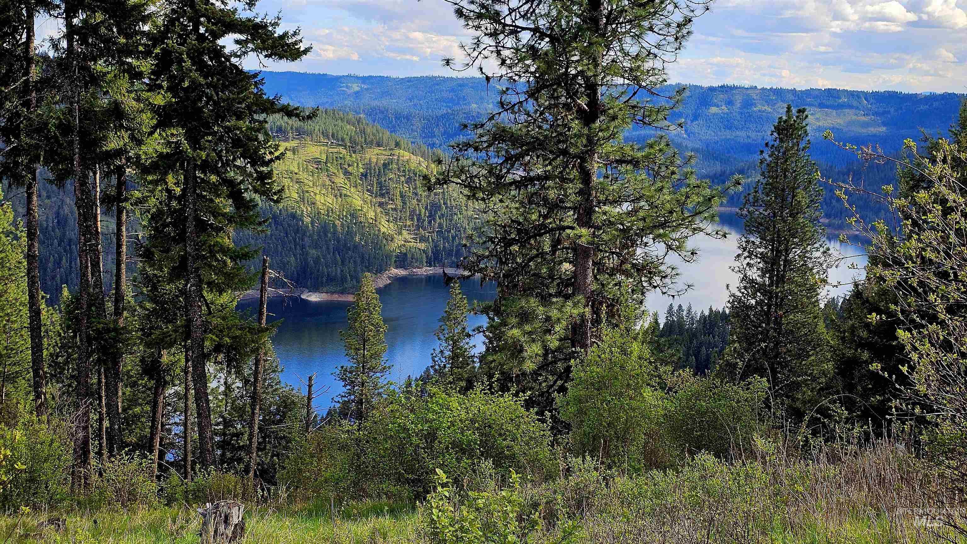 TBD Lynx Lane, Lenore, Idaho 83541, Land For Sale, Price $695,000,MLS 98984864