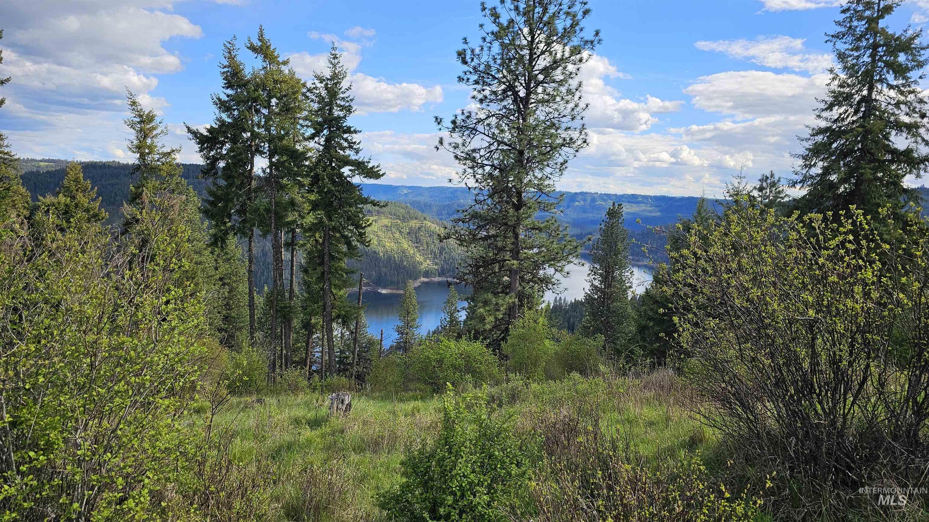 TBD Lynx Lane, Lenore, Idaho 83541, Land For Sale, Price $695,000,MLS 98984864