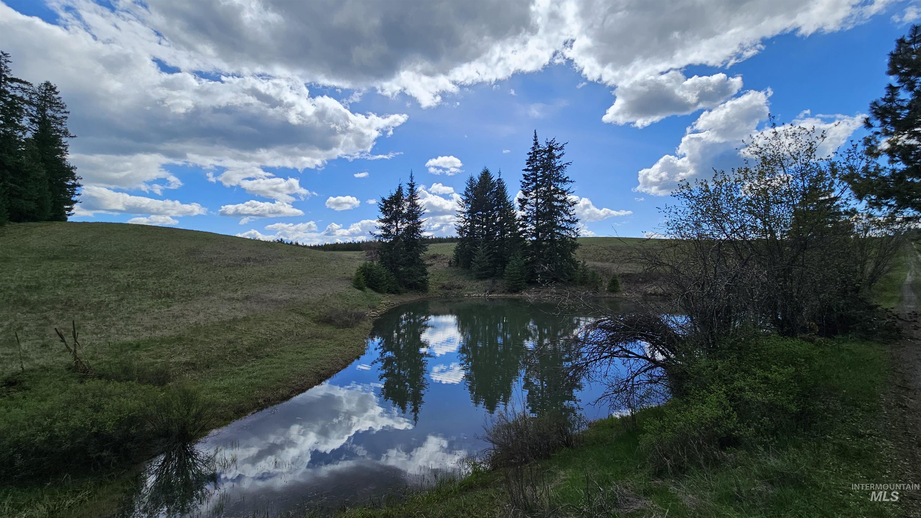 TBD Lynx Lane, Lenore, Idaho 83541, Land For Sale, Price $695,000,MLS 98984864