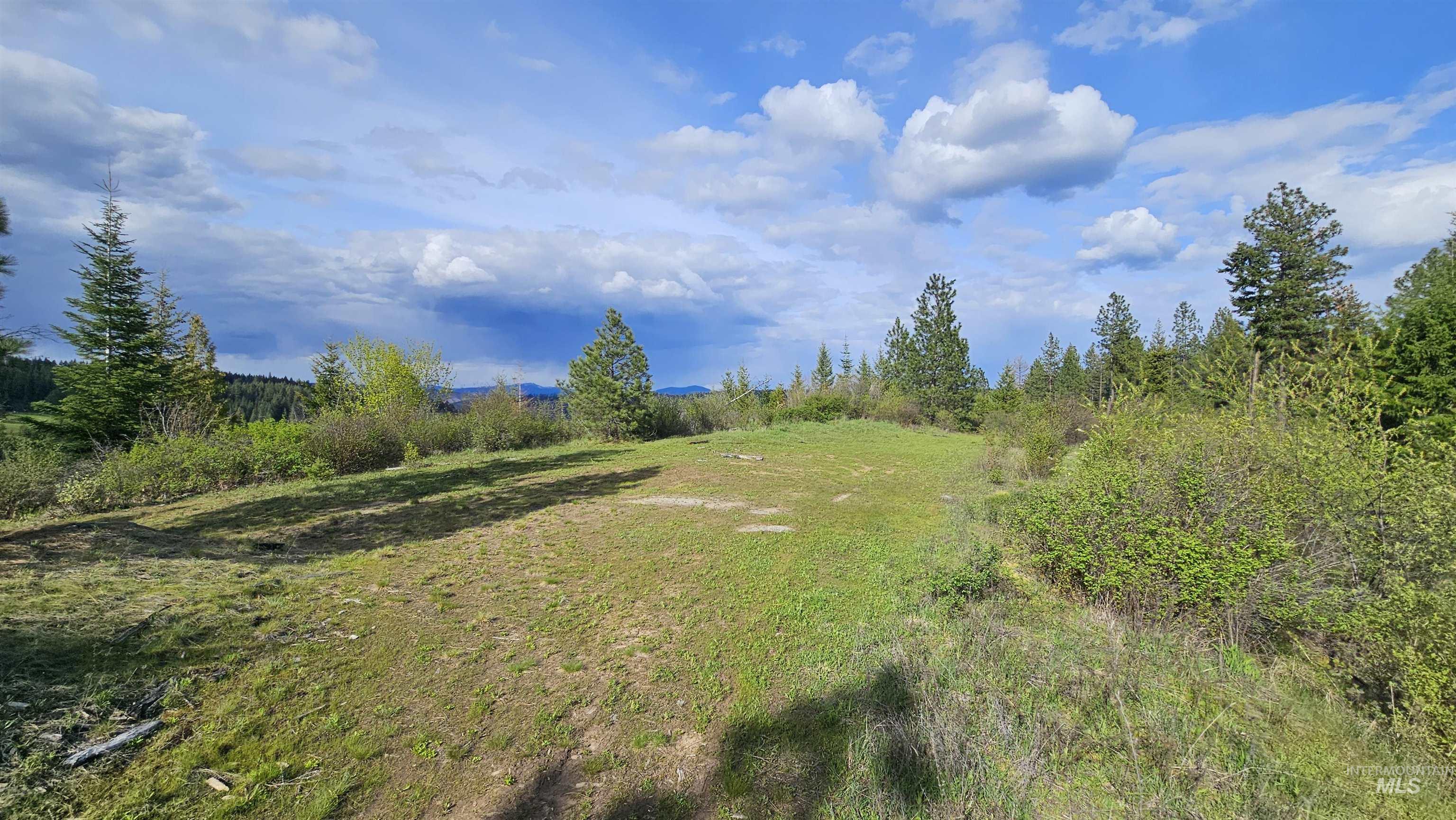 TBD Lynx Lane, Lenore, Idaho 83541, Land For Sale, Price $695,000,MLS 98984864