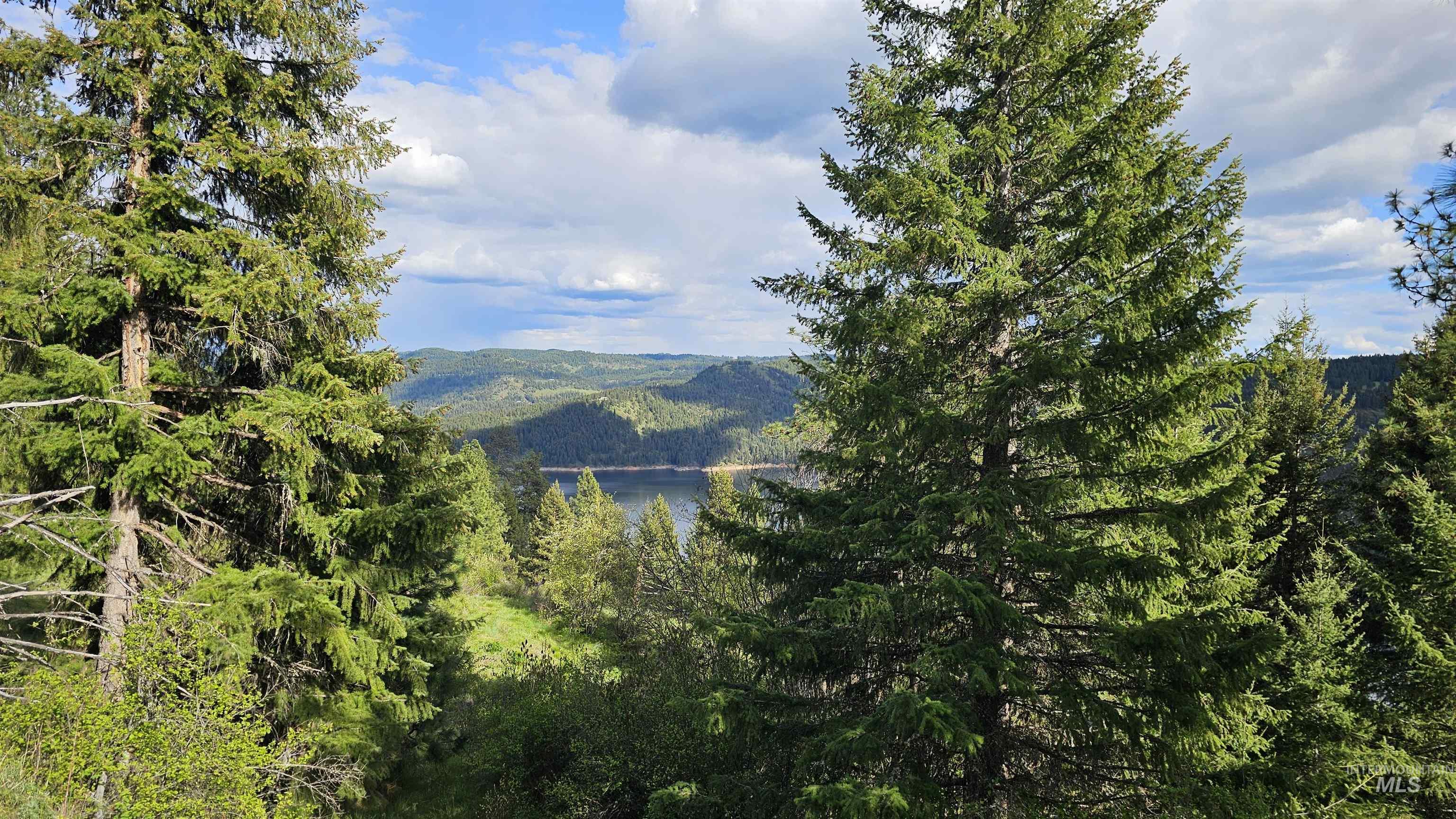 TBD Lynx Lane, Lenore, Idaho 83541, Land For Sale, Price $695,000,MLS 98984864