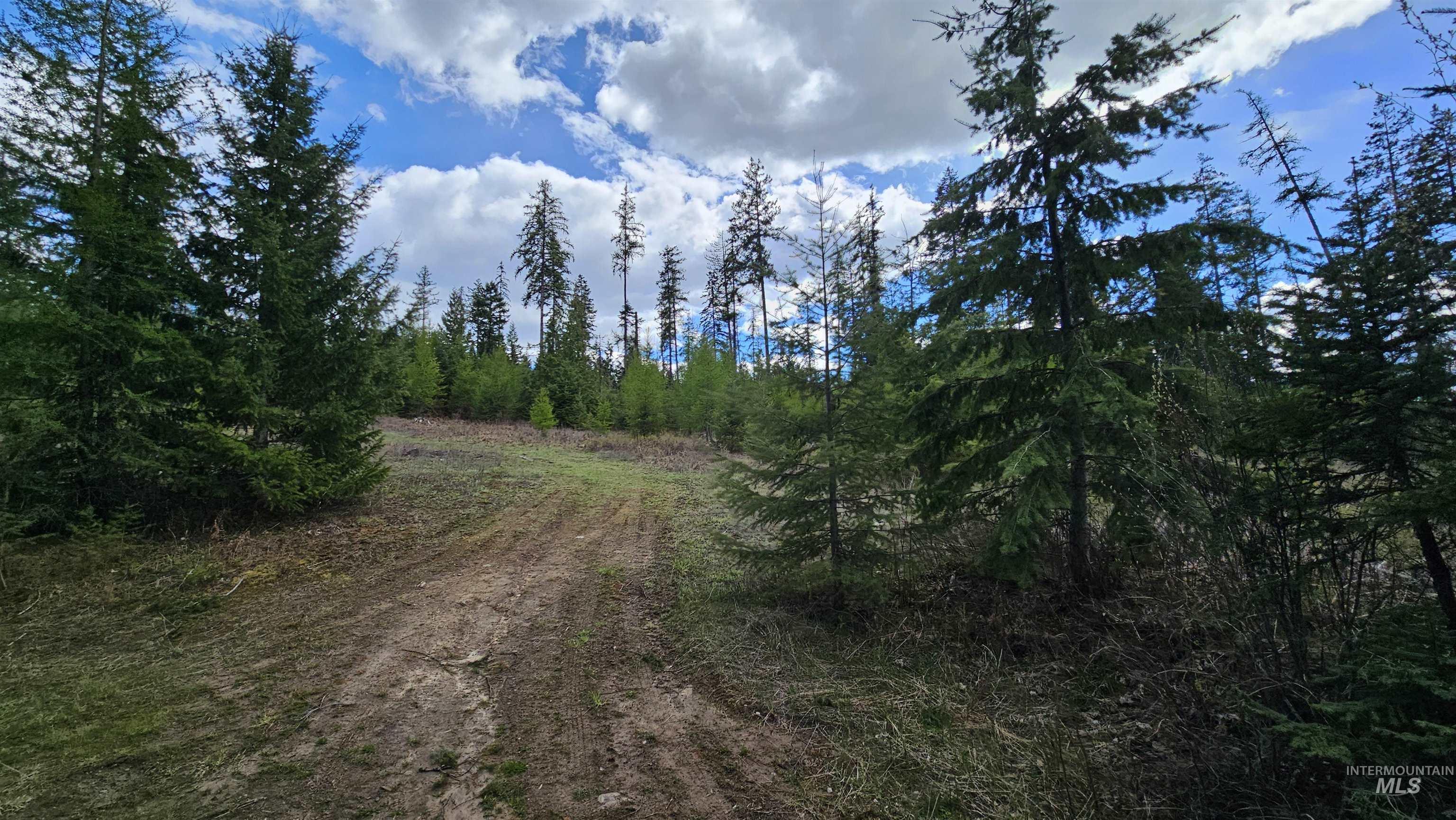 TBD Lynx Lane, Lenore, Idaho 83541, Land For Sale, Price $695,000,MLS 98984864